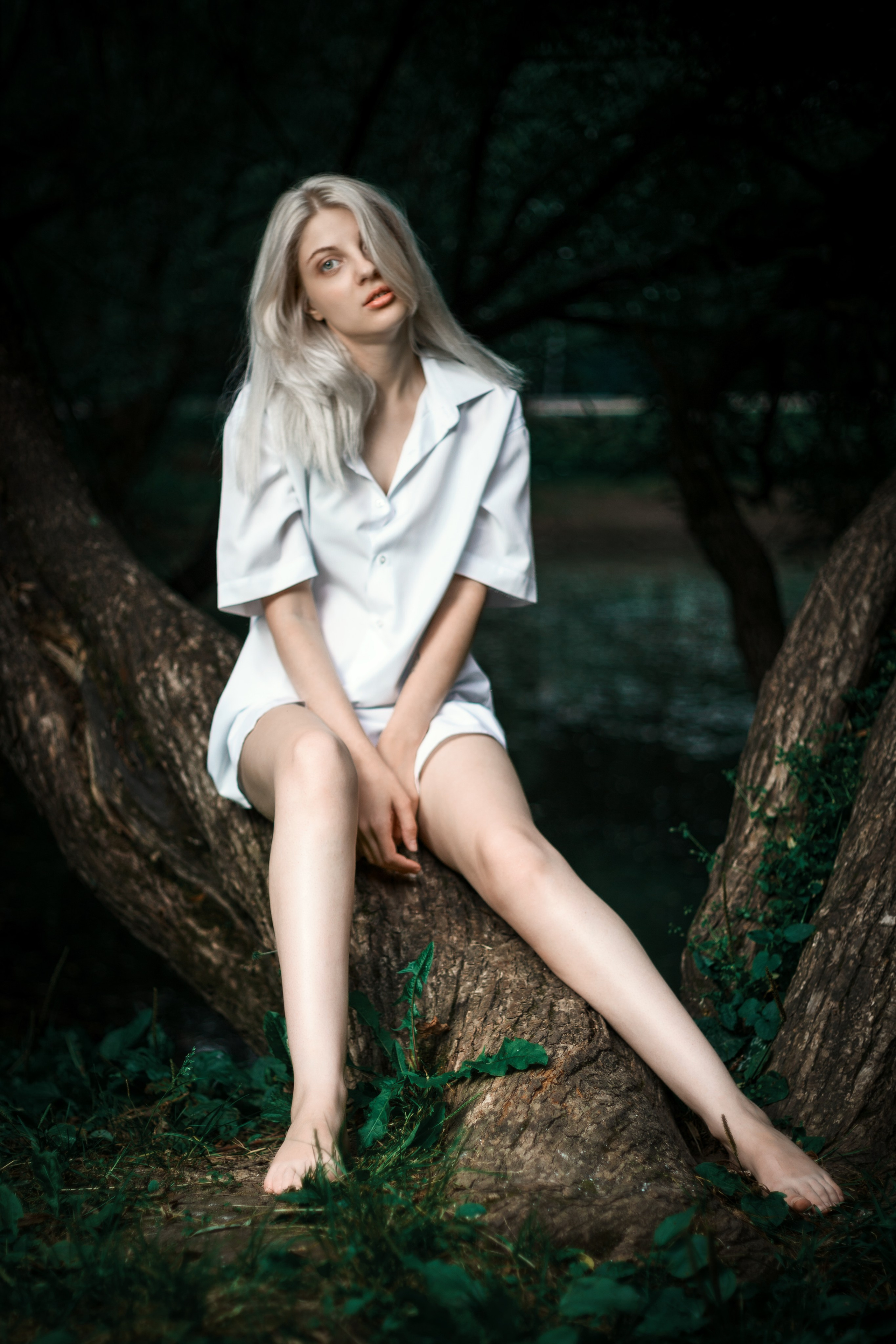 Откройте для себя магию "Белоснежной гармонии" в этом фотоальбоме, где девушка с белоснежными волосами предстаёт в утончённых образах на природе. Наслаждайтесь кадрами, где она лежит на дереве у озера и на траве, с элегантной рубашкой, добавляющей загадочности и эстетики. Девушка, молодая девушка, Блондинка, Фотосеесия, Подросток, Крашенные волосы, Озеро, Рубашка, Позировка, Потрет, Полуголая, Полуголая девушка, Девушка в белье, Дерево, Озеро, Красотка, Ноги, Трава, Ню,