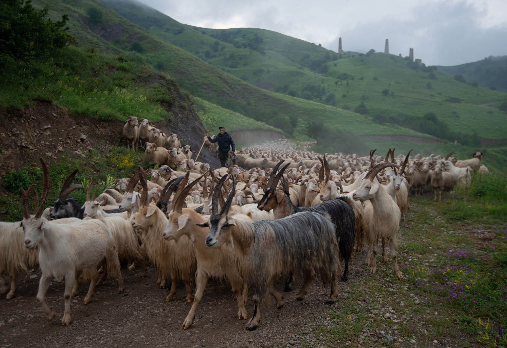 Фотографии Ингушетия