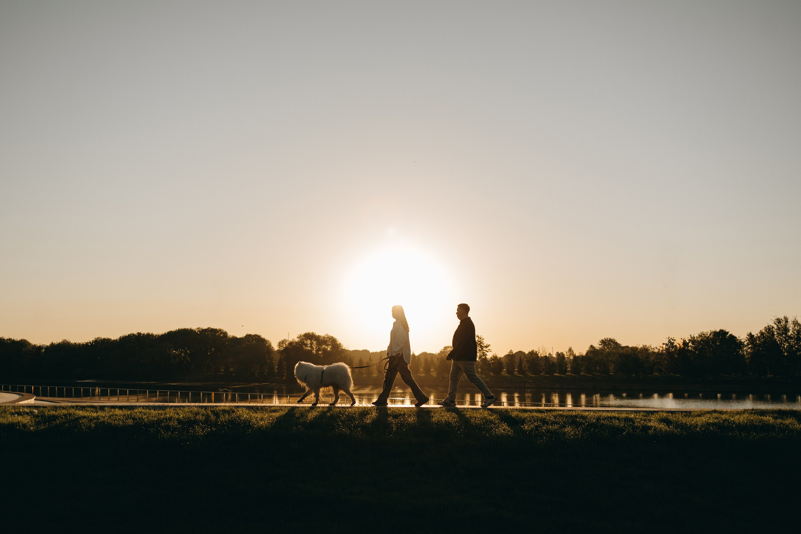 Танго и его семья. Фотограф — Анималист | Санкт-Петербург