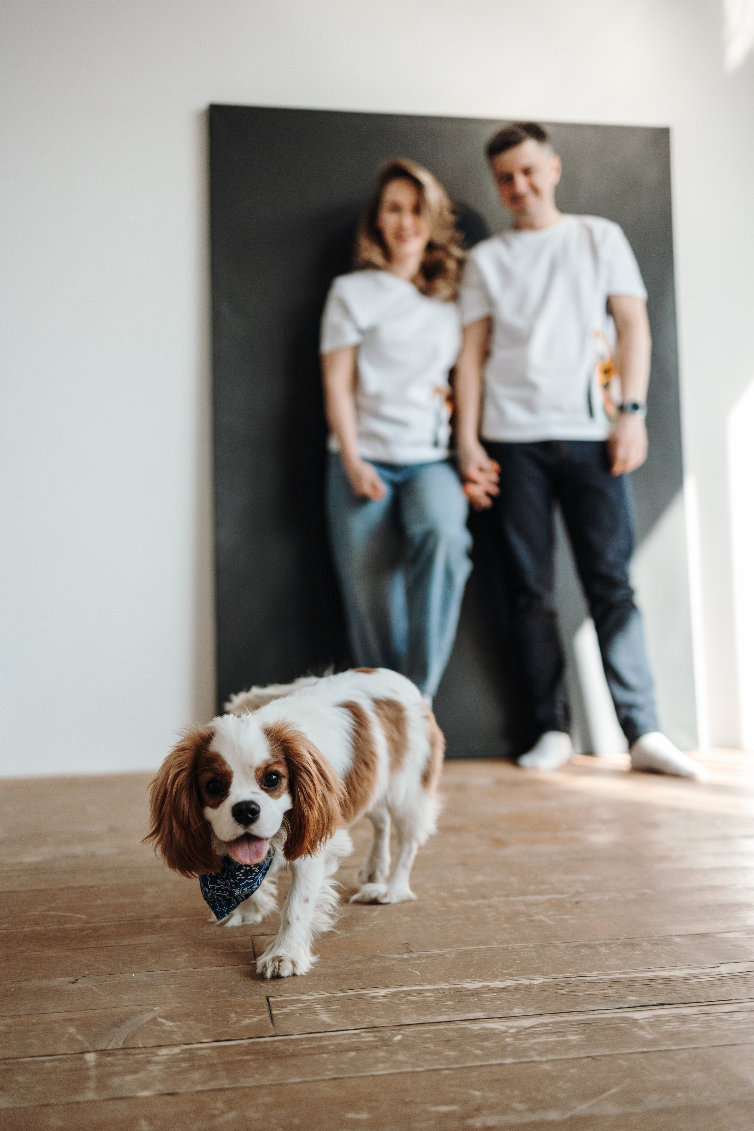 Плуто и его семья. Фотограф — Анималист | Санкт-Петербург