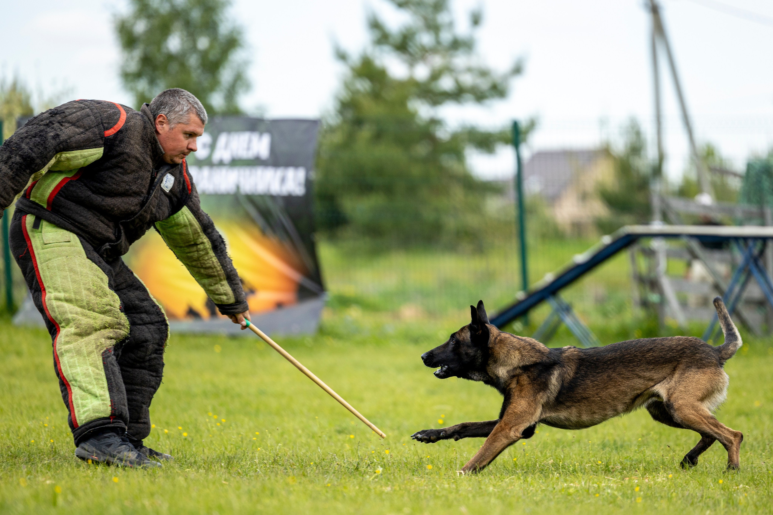 Испытания по мондьорингу в Нижнем Новгороде. Фотограф-анималист Анна Маринич