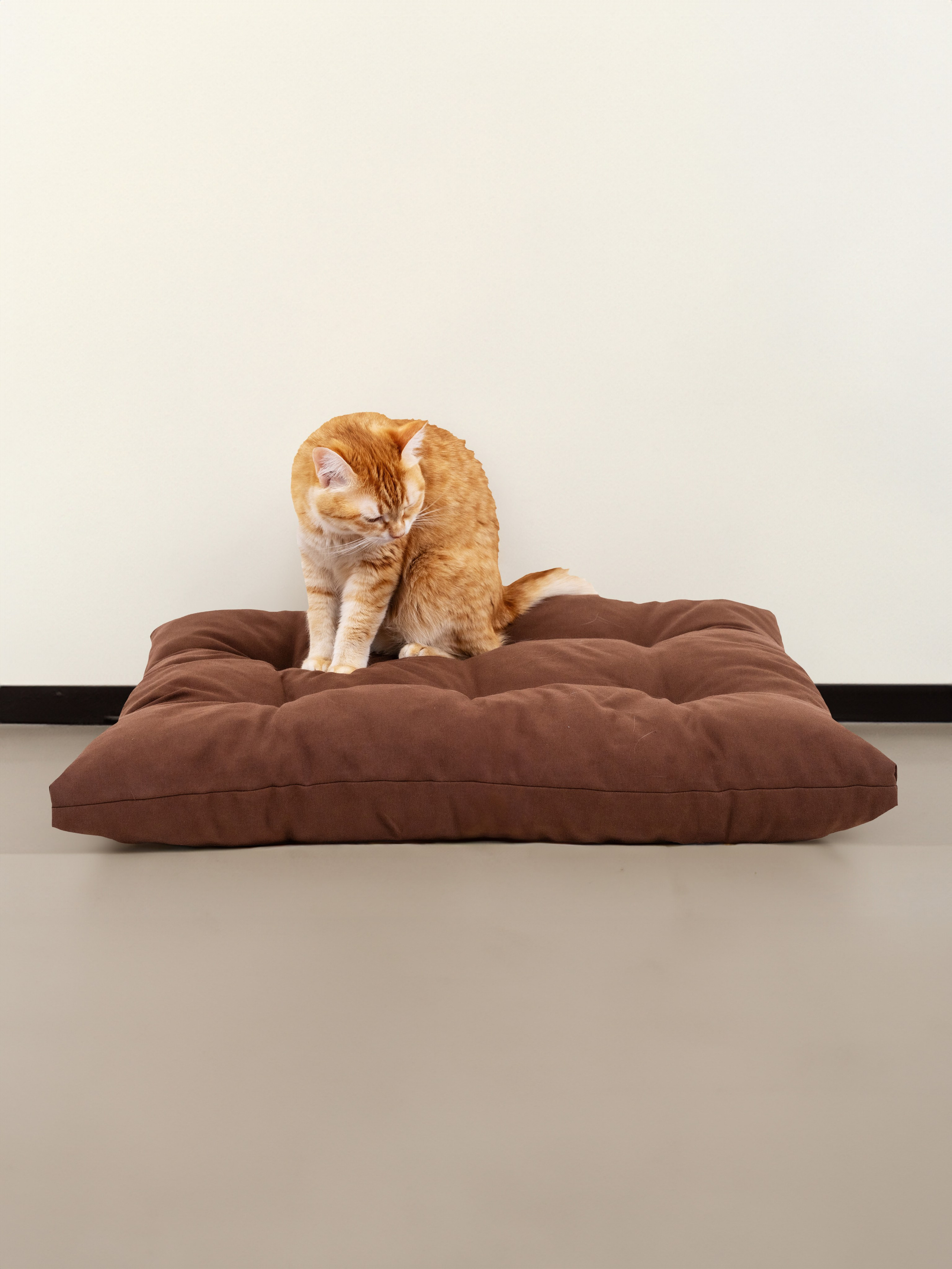 Предметная съемка товара лежанка для животных, с заменой фона и нанесением инфографики. Олейник Денис — предметный фотограф, фотограф для маркетплейсов в Казани