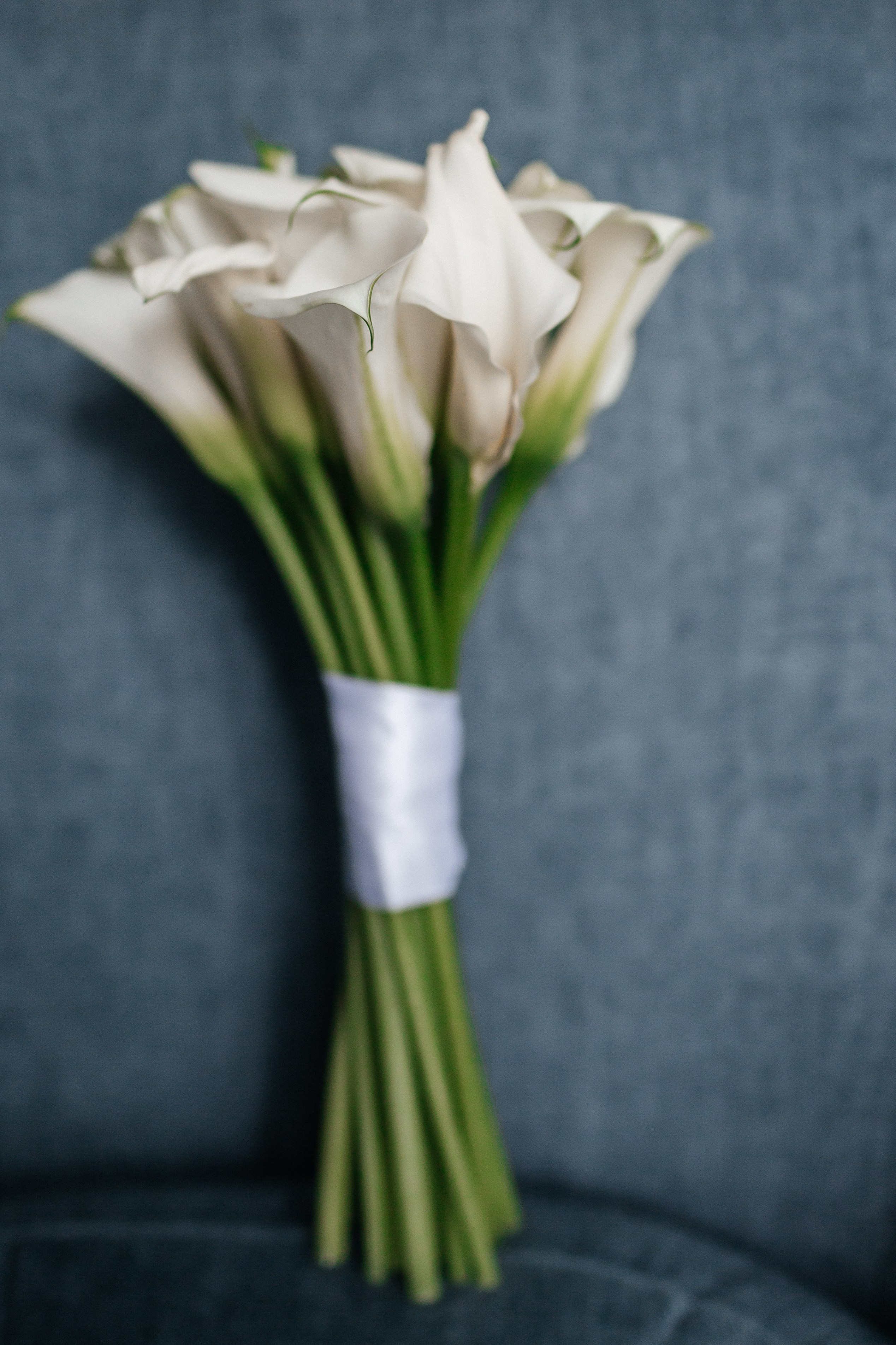 Владимир и Таисия