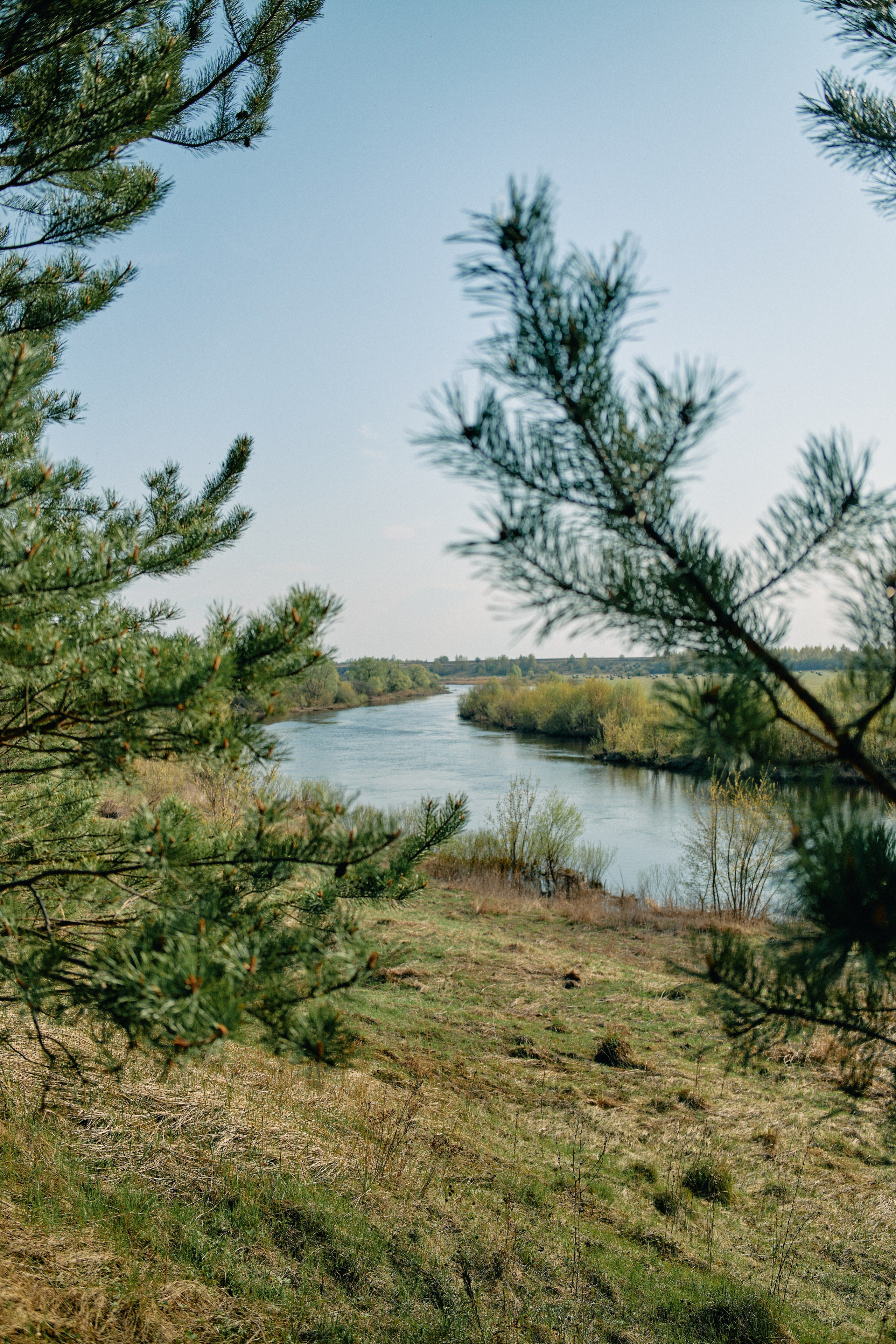Бутик-отель Поле летом. Профессиональный Фотограф во Владимире, в Москве и в Суздале — Полина Романычева