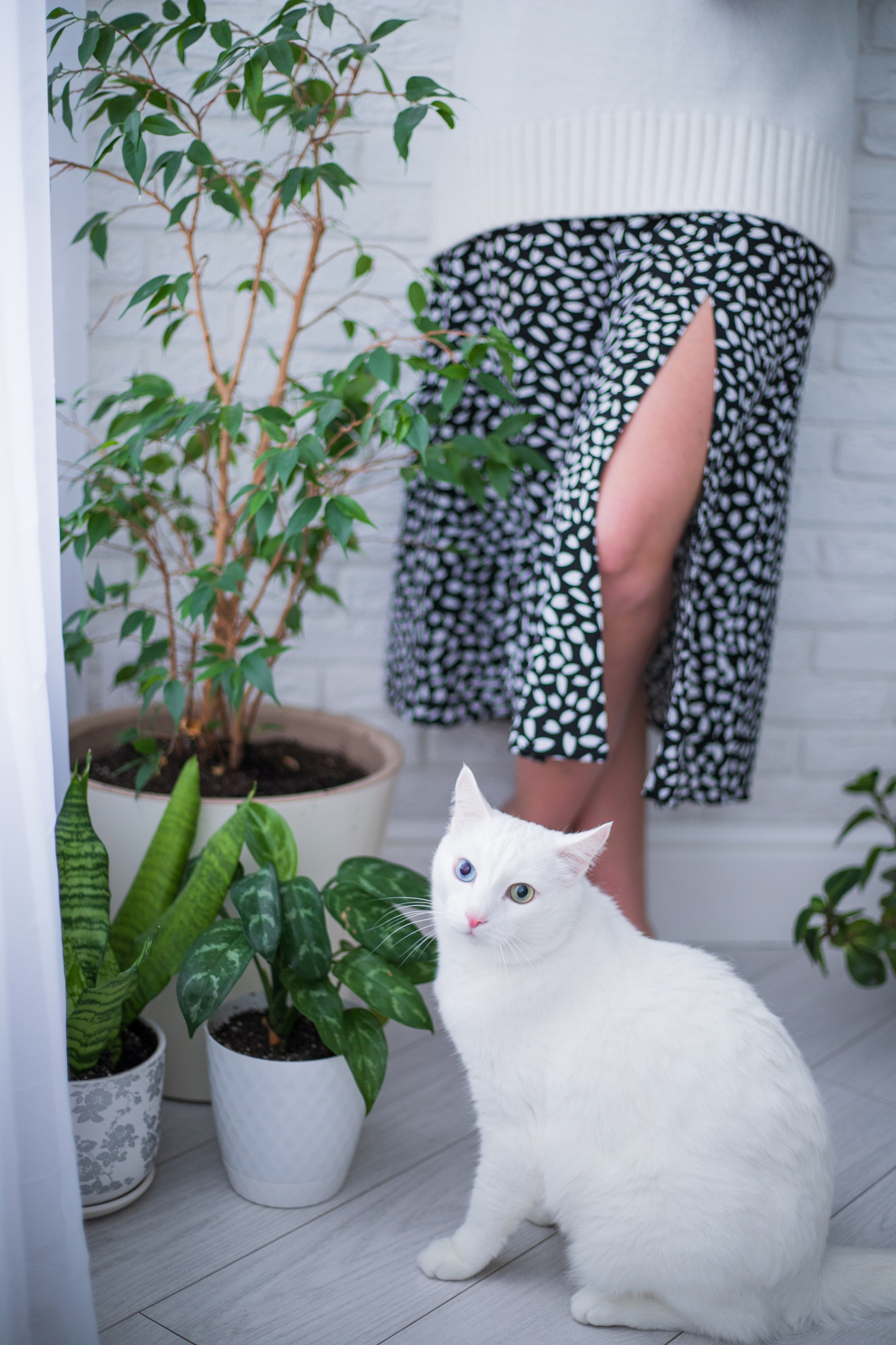 Женский портрет. Семейный и детский фотограф в г. Кемерово