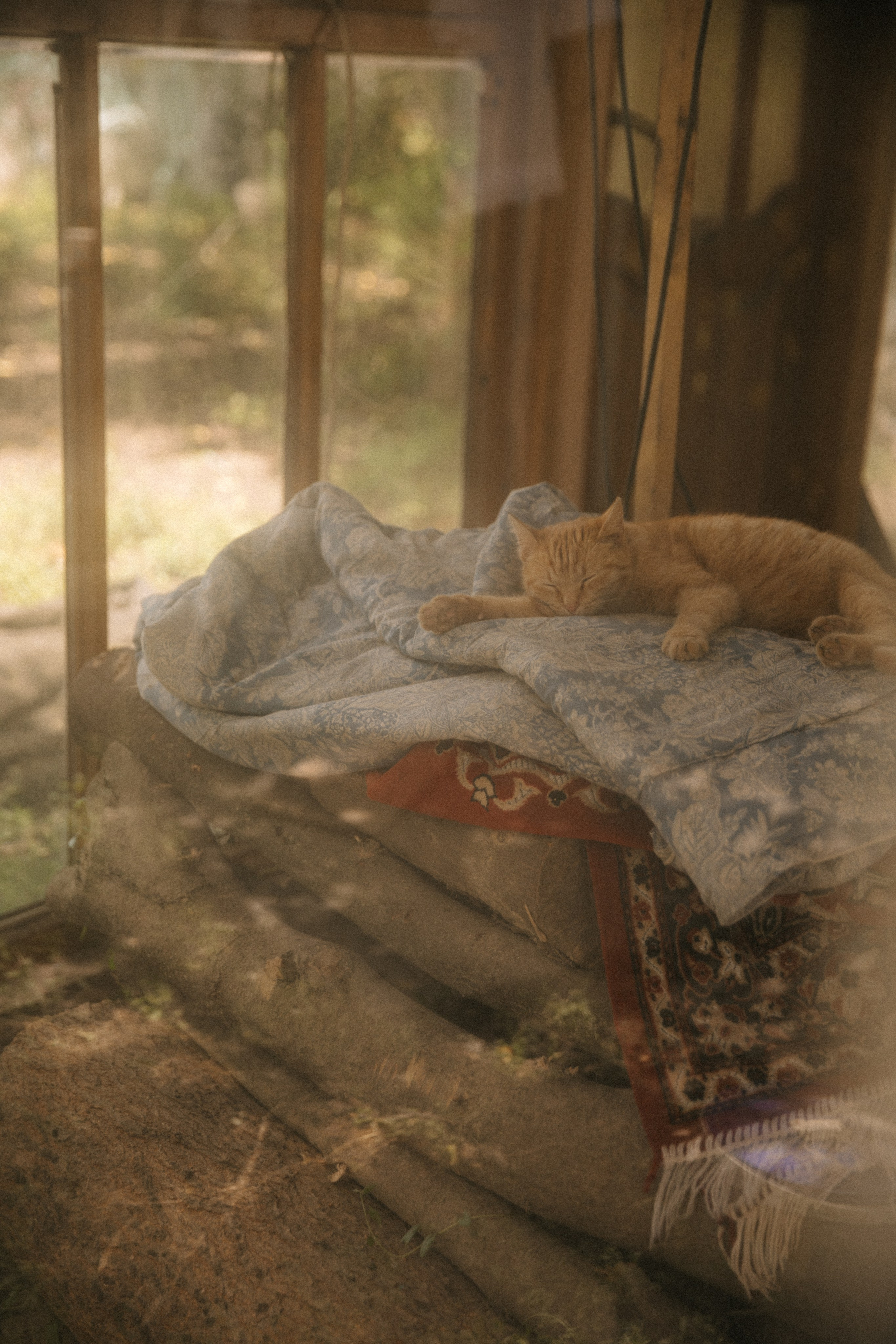 Ферма. Свадебный и семейный фотограф Василина Батищева в Моздоке, Северной Осетии и КМВ