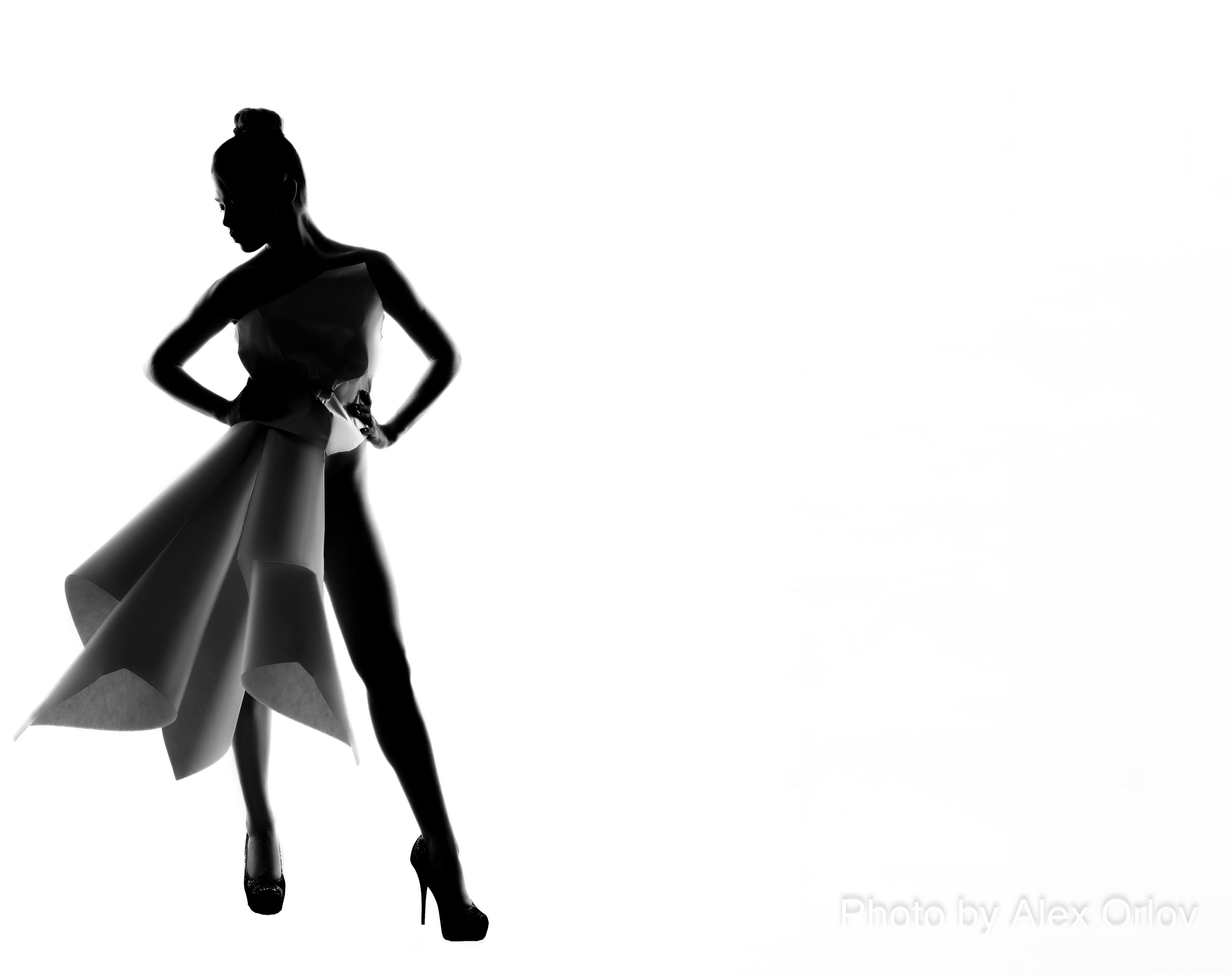 Студийная фотография. Фотограф Орлов Алексей Петрович. Челябинск