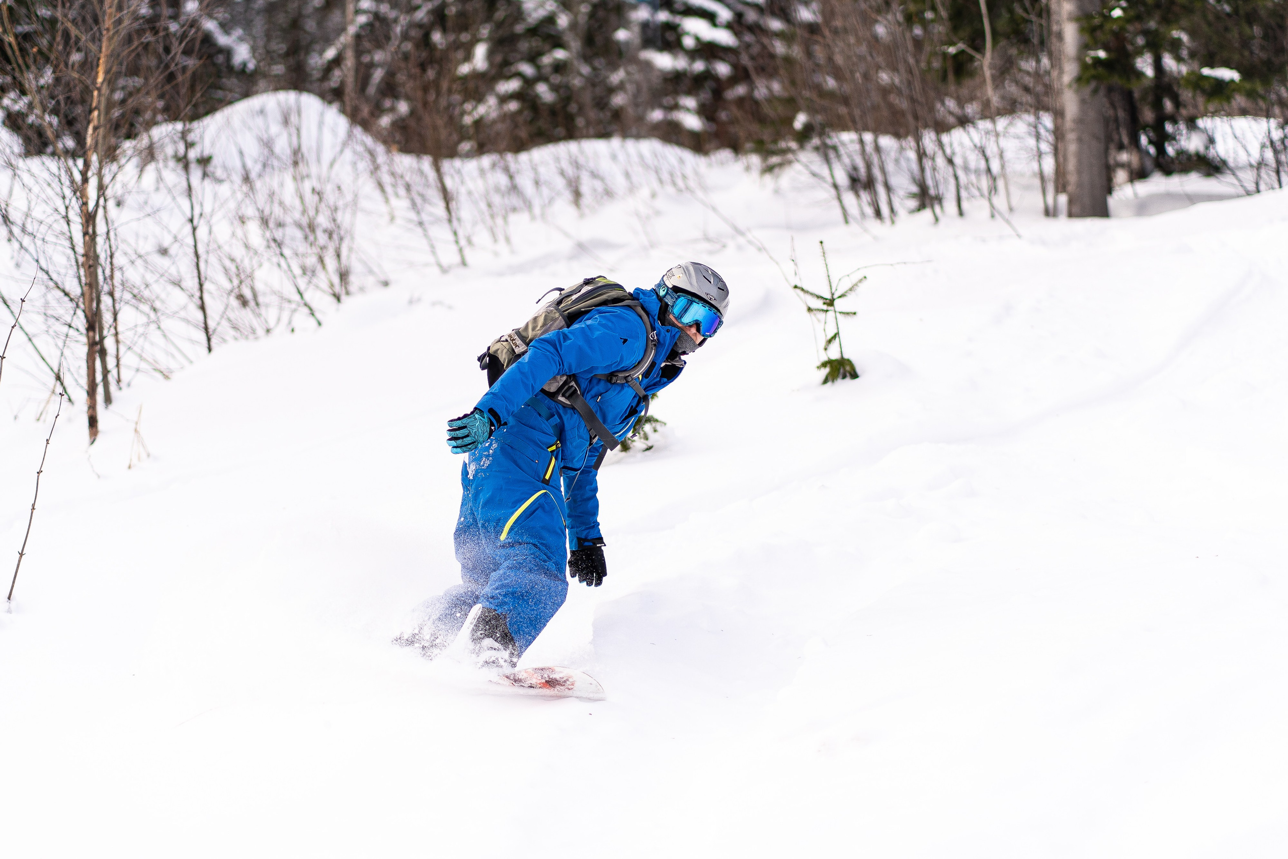 Джой 13.12. Анастасия Паршукова — фотограф Шерегеш Новосибирск