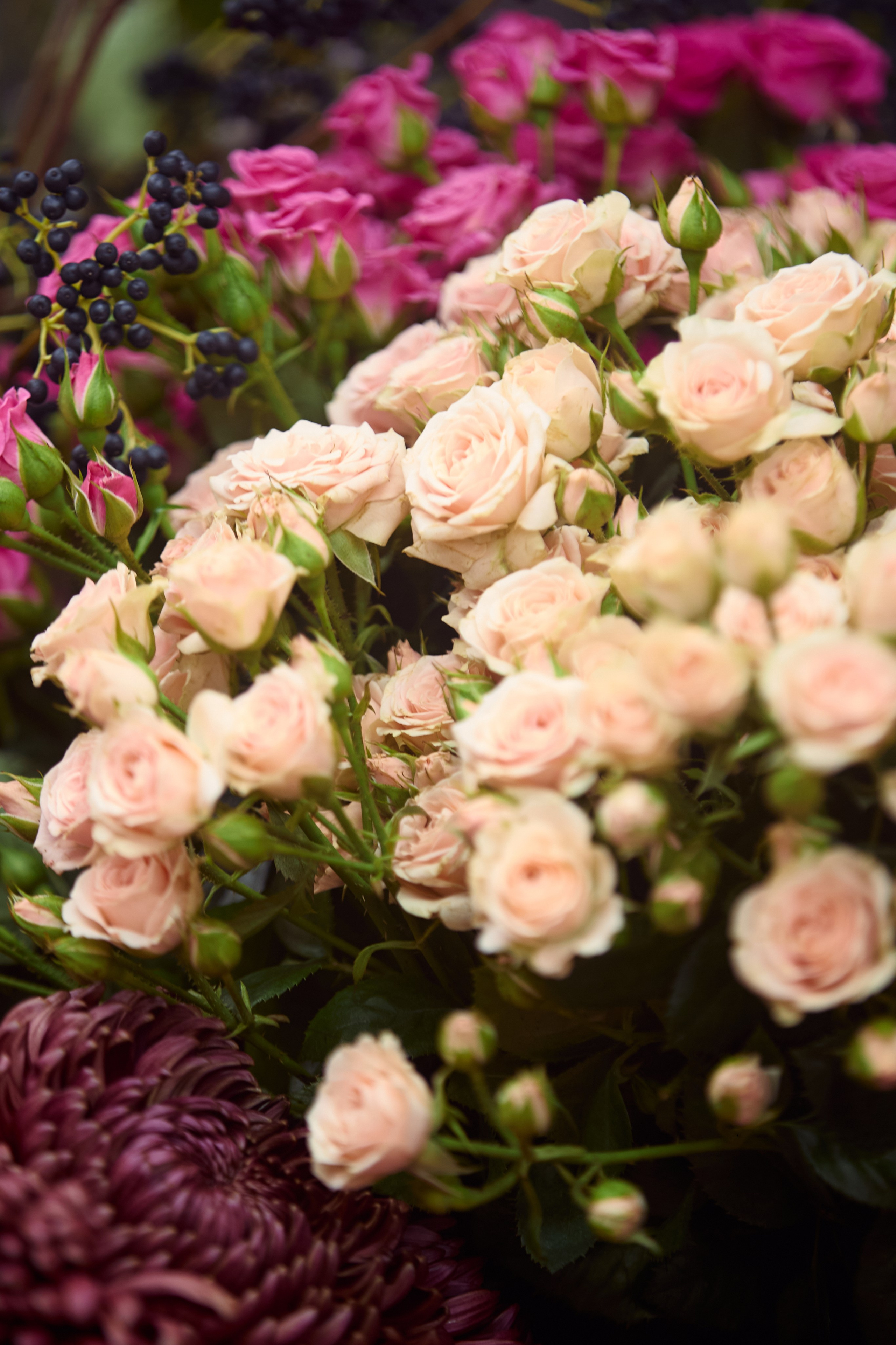 ART-HAOS. Фотограф видеограф в Москве и Московской области Саша Секрет