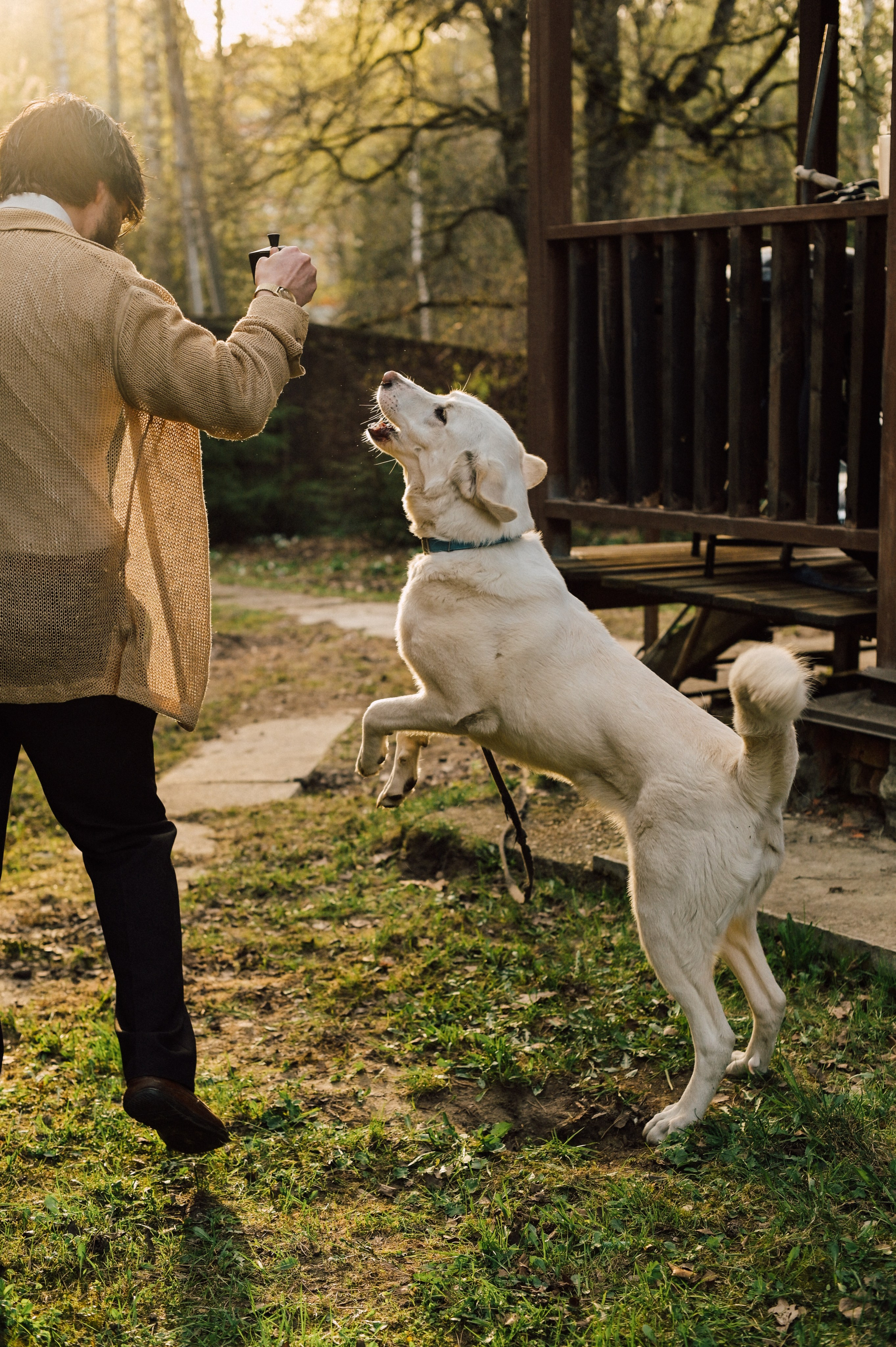 Семейная. Видеооператор и фотограф Таисия Любимова