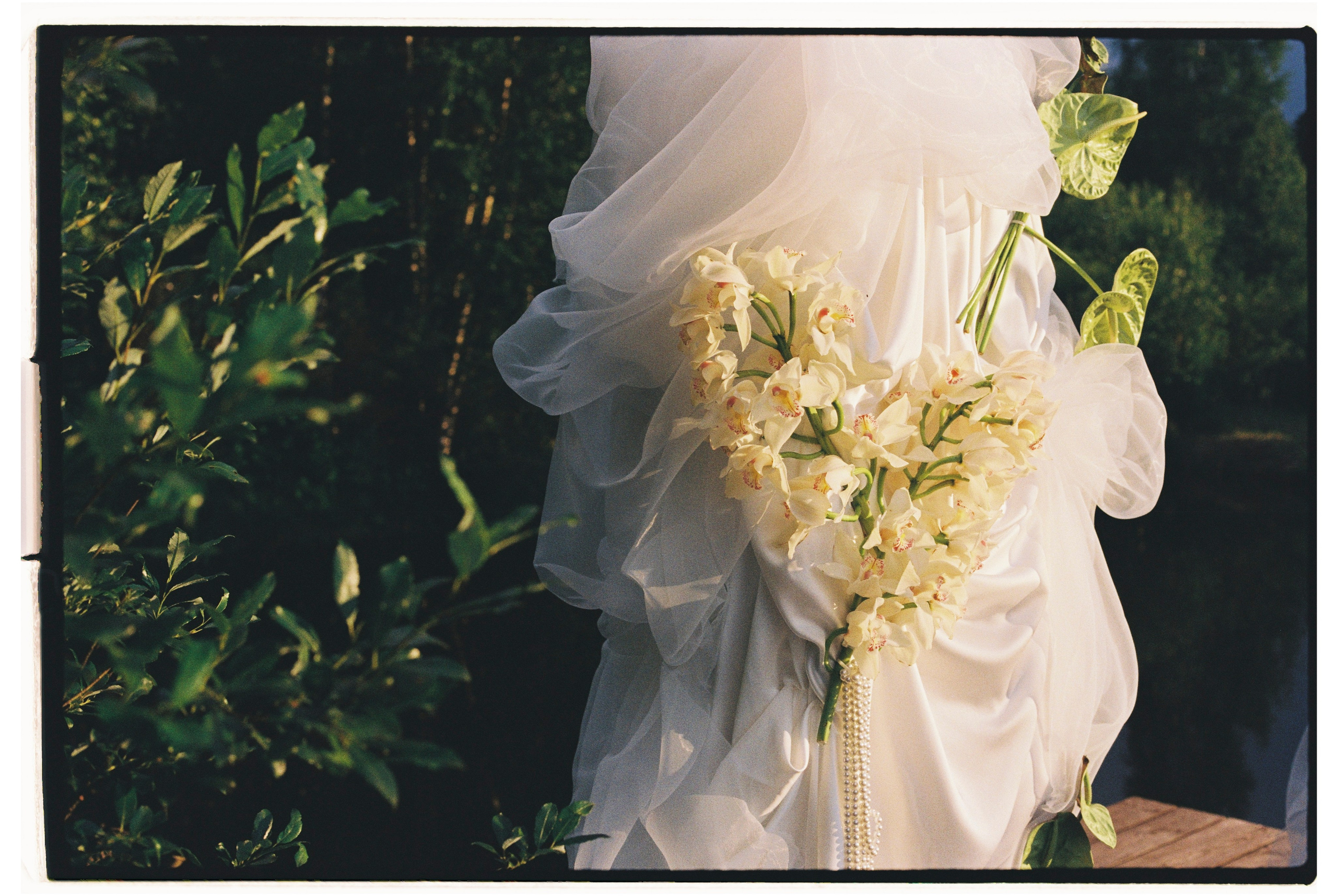 Пленка. Фотограф Андрей Куськало