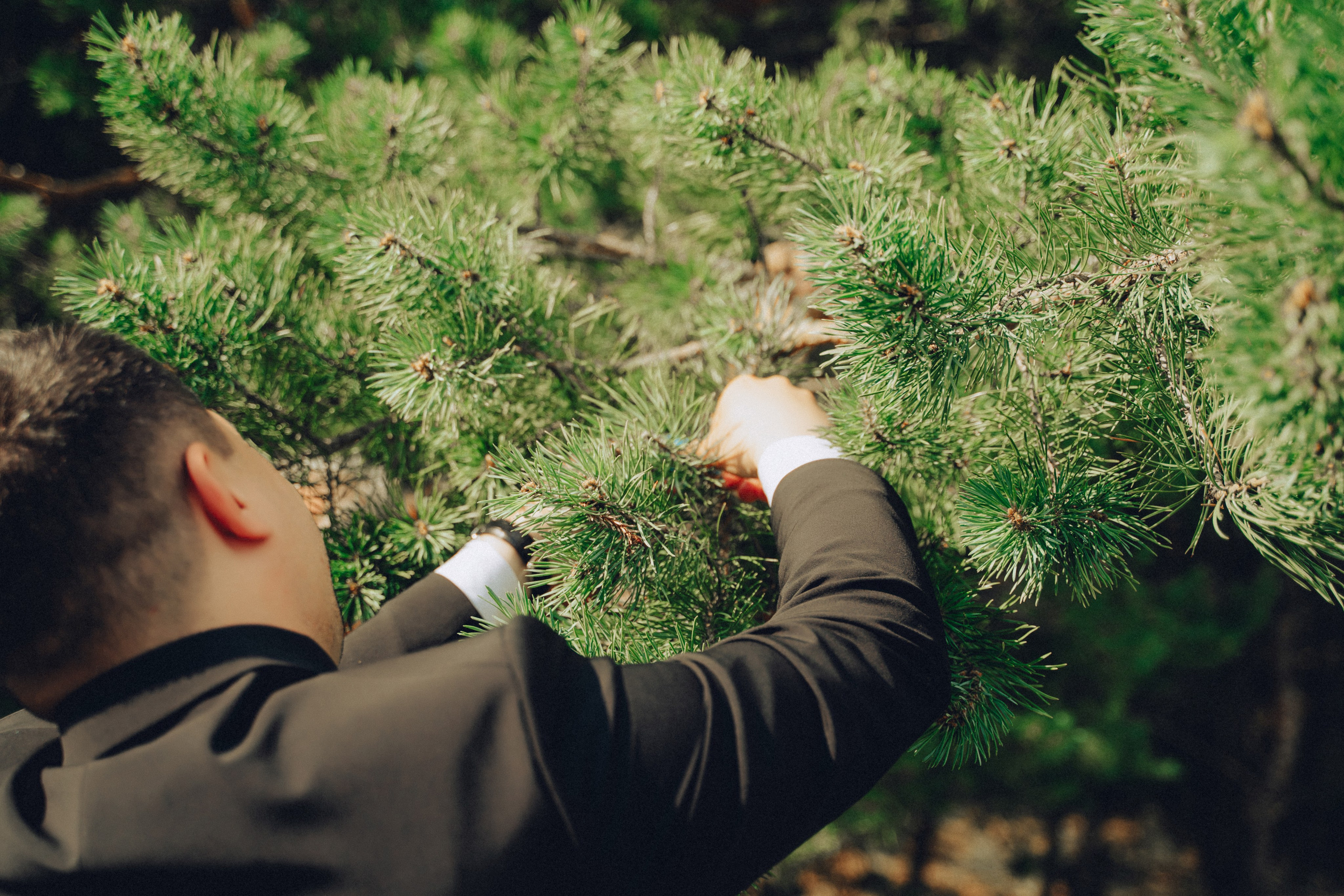 14.06.25 Свадьба. Свадебный фотограф видеограф Чебоксары