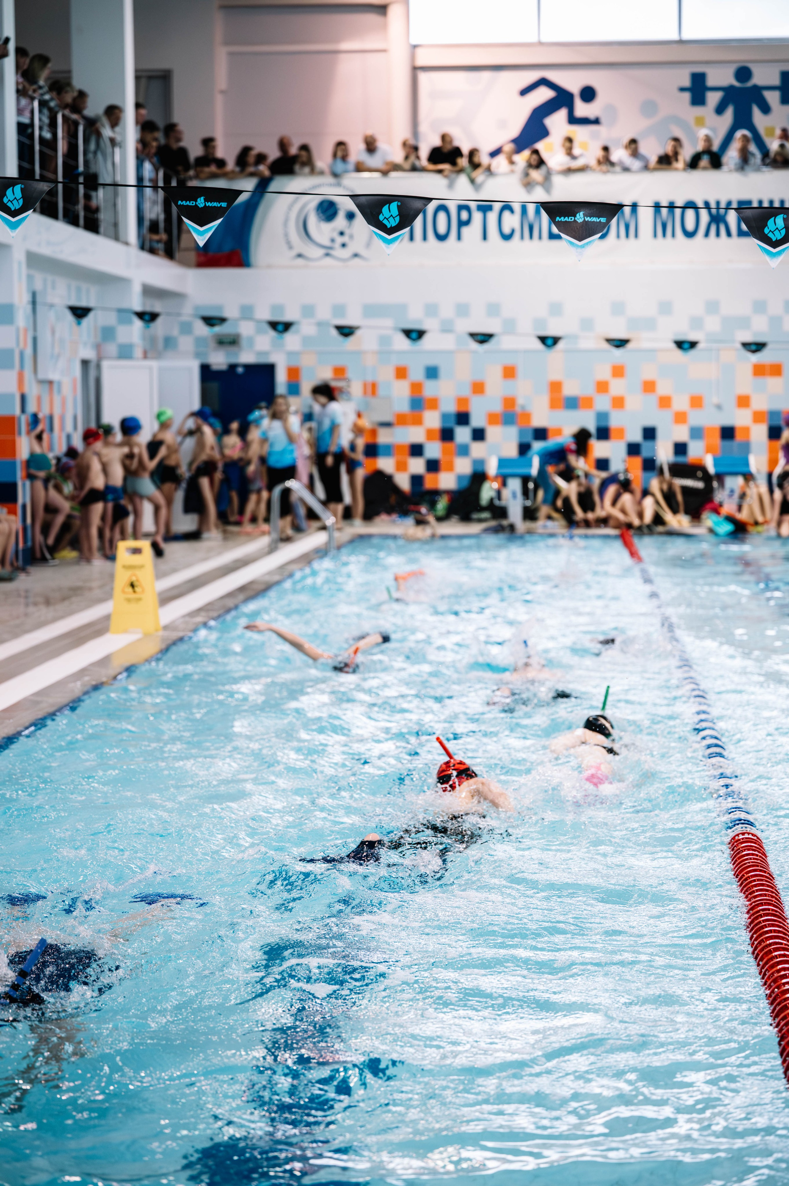Первый этап кубка плавания, Дельфин. Октябрь, 2024. Спортивный фотограф в Туле и Тульской области. Файсханова Фото Спорт