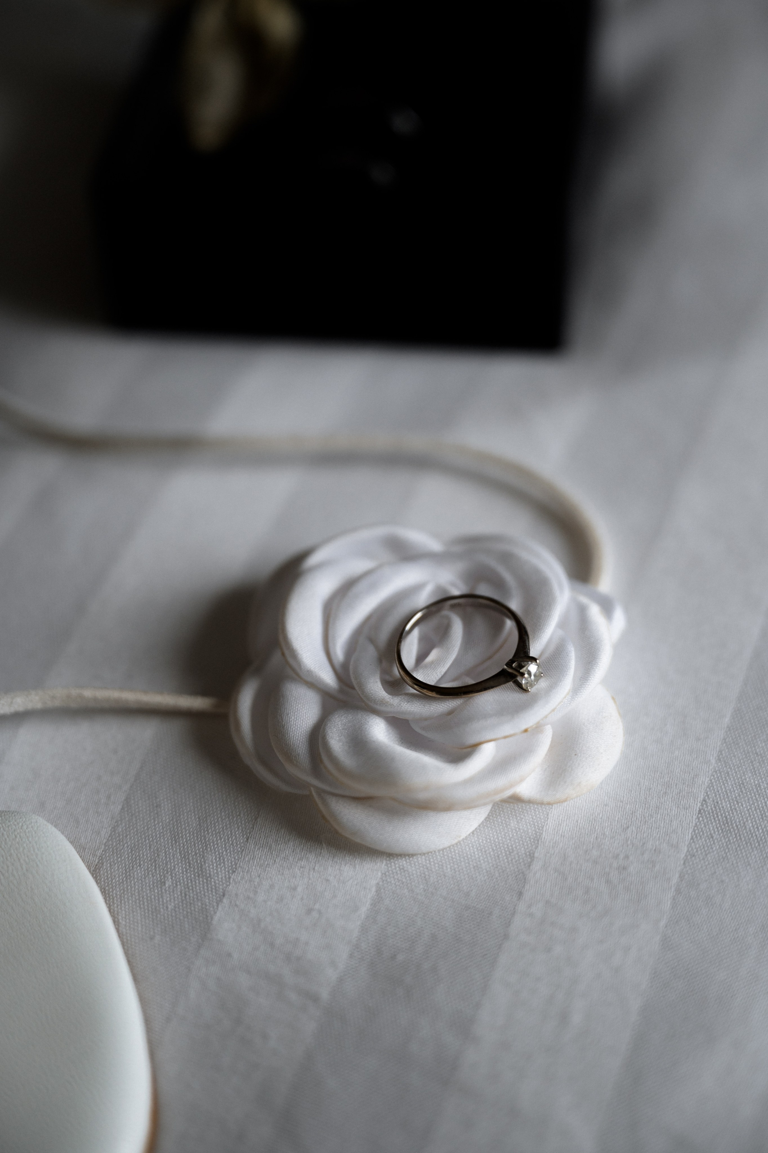 04.09.2024. RETOUCH-HOUSE