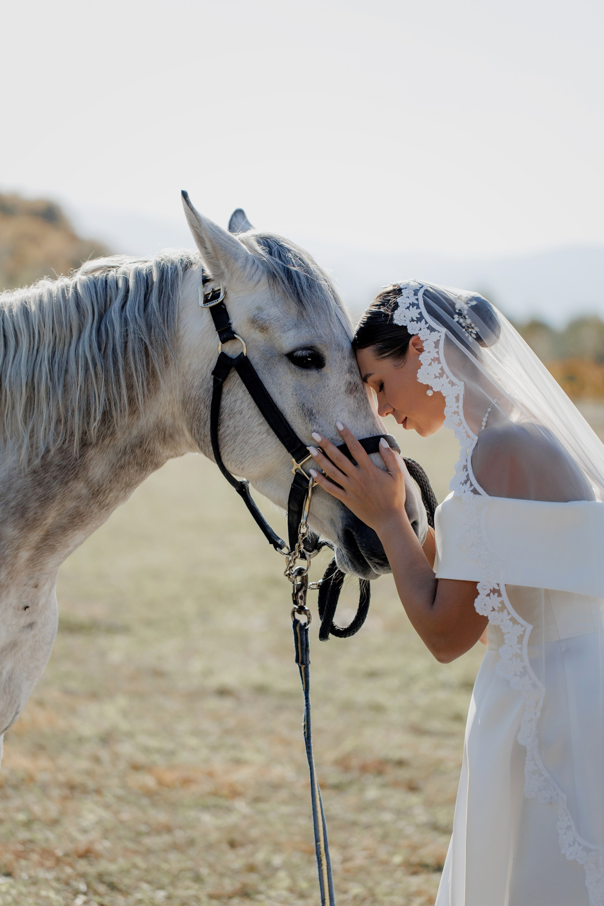 Nader & Darya. Anastasiya Krasnyuk