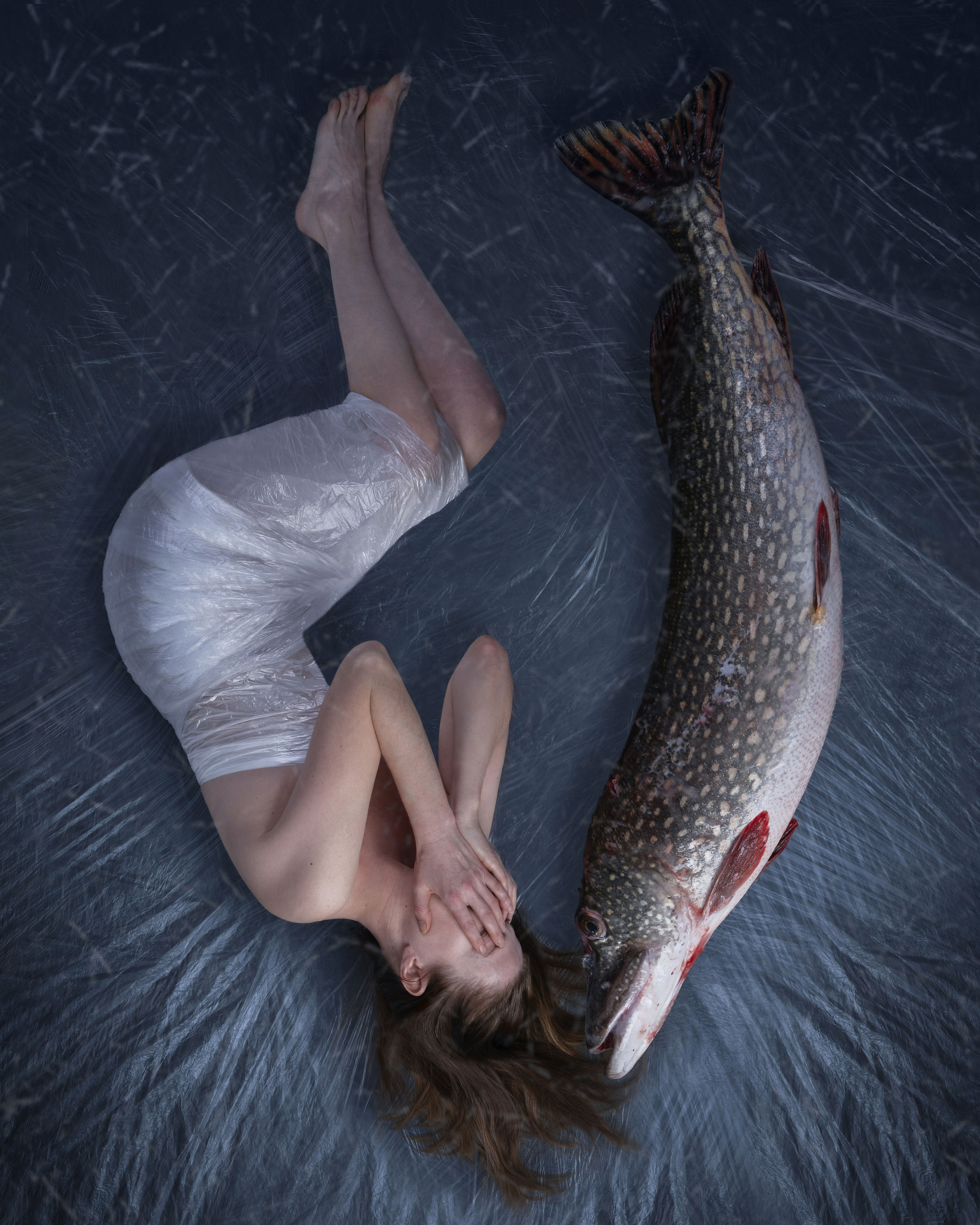 Авторские принты. Анна Новосельцева. Индивидуальные фотосессии в Москве и М.О