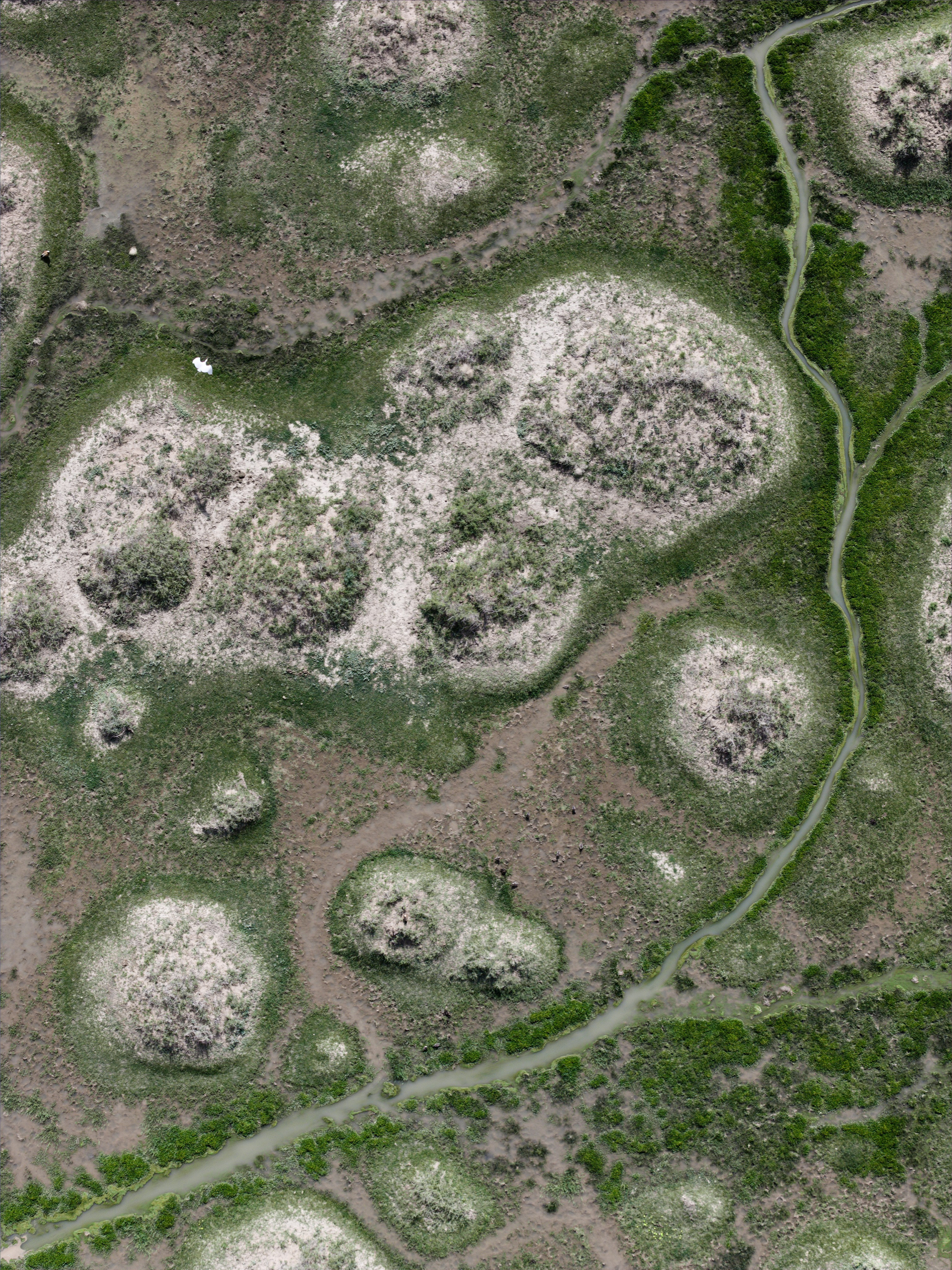 Экспедиция в Монголию (Гоби). Семоха Валерий. Фотограф