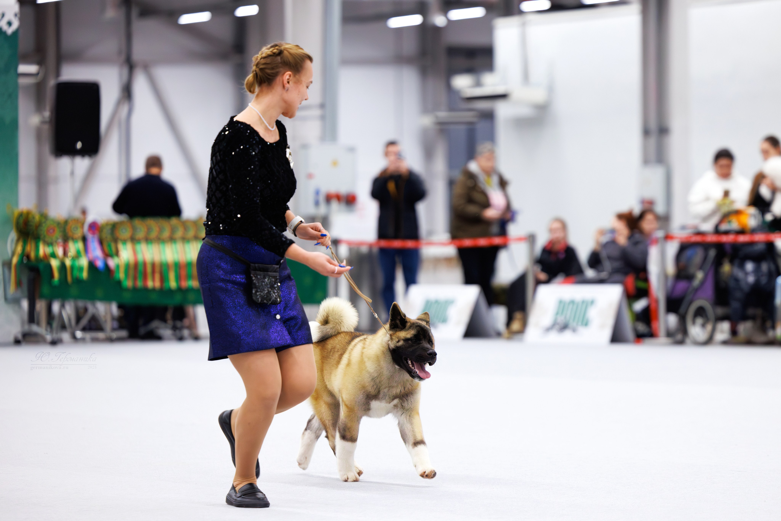 Казань Зилант 30-01.12 2024. Фотограф-анималист Юлия Германика