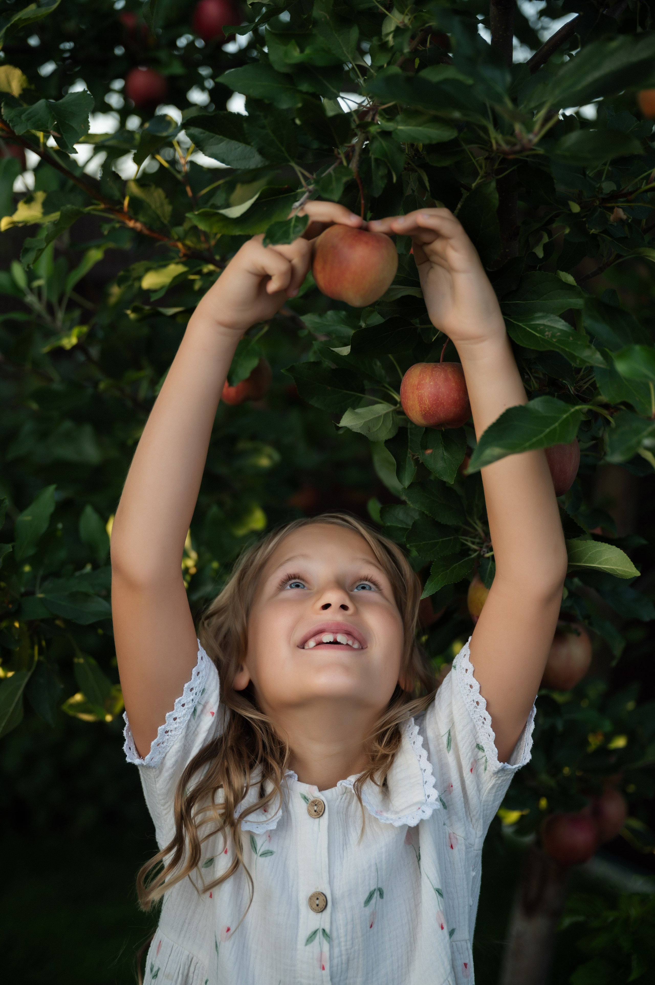 Семейная с правнучками. Фотограф Алёна Мил