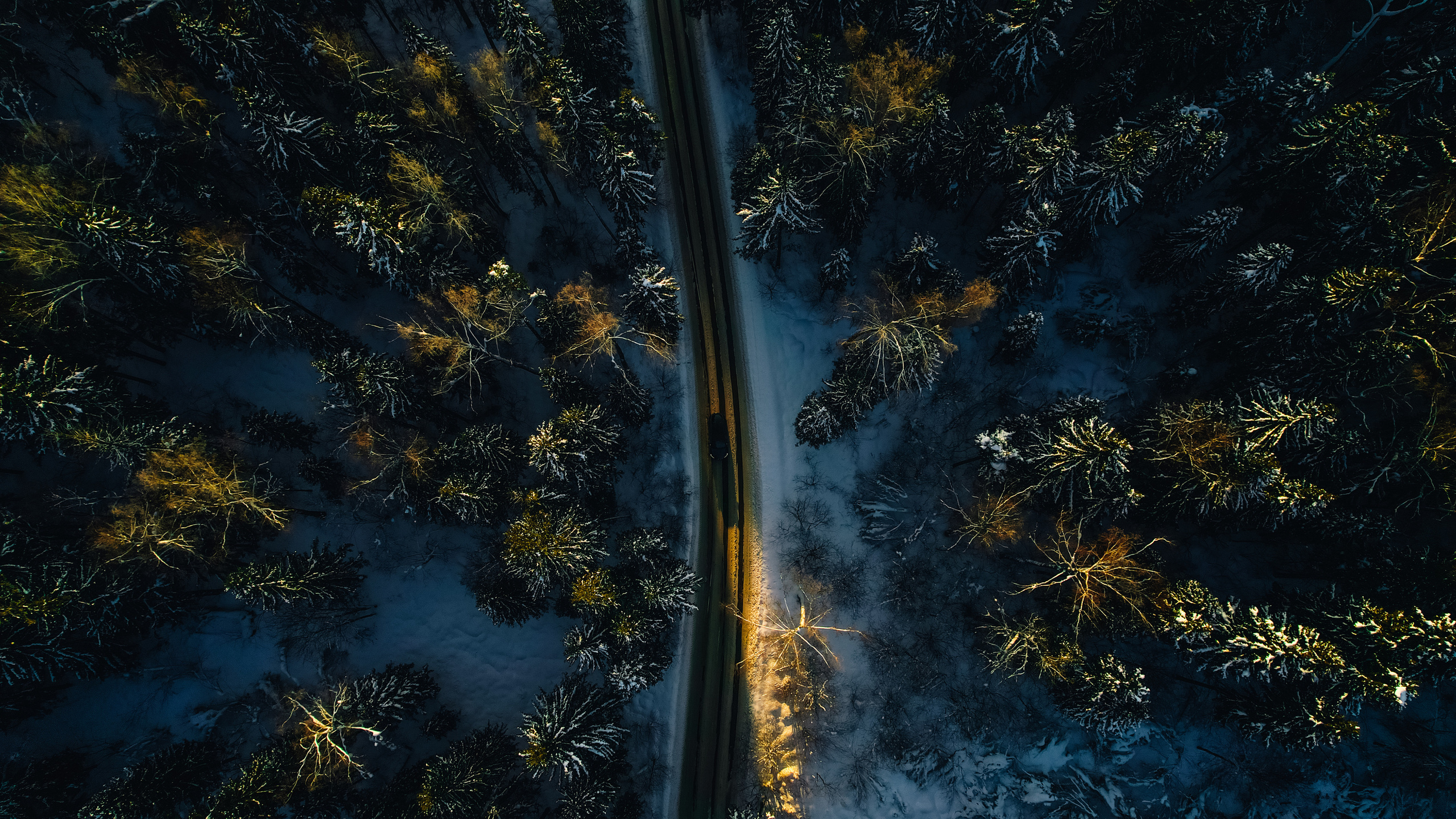 Зима. Фотограф Владимир Кононенко