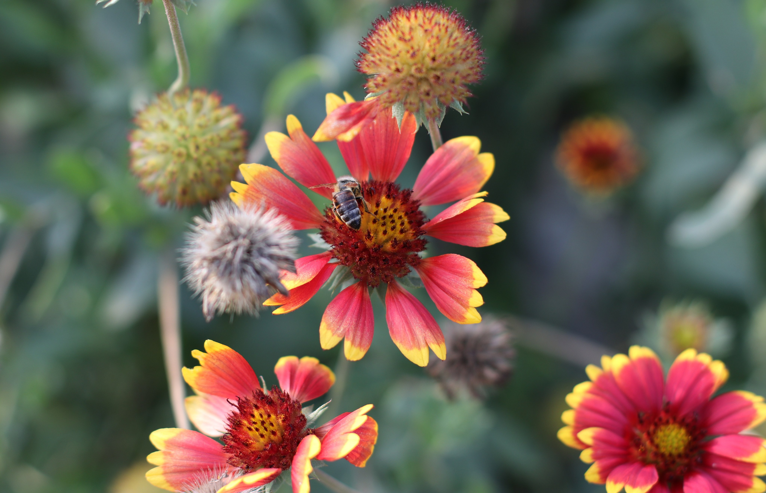 МАГАЗИН и его витрина. Фото-художник и Репортажный фотограф Николаев Александр Алексеевич