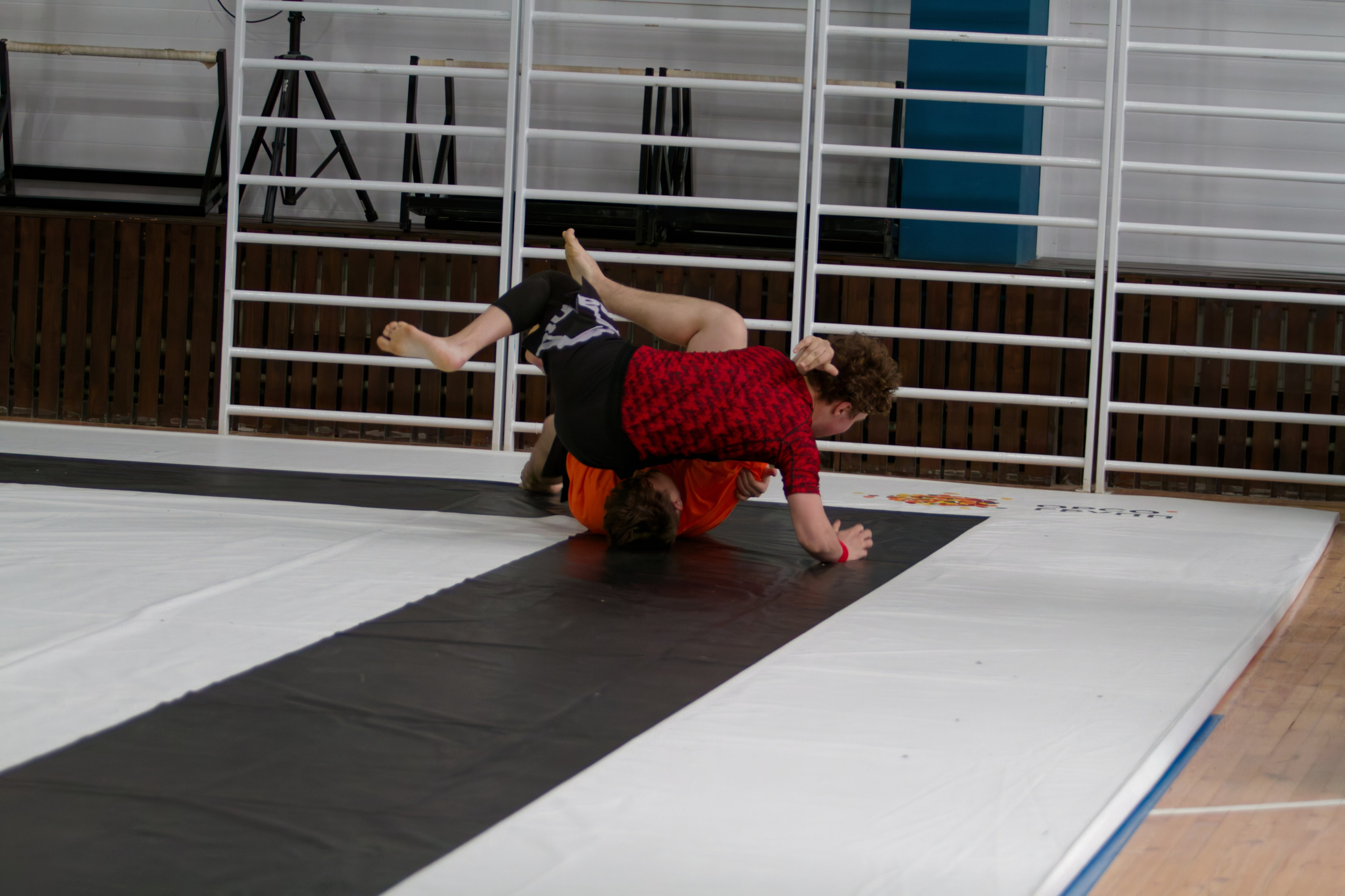 Борьба. Джиу-джитсу 26.04.2025. Репортажный и спортивный фотограф в г. Пермь Зильберг Павел