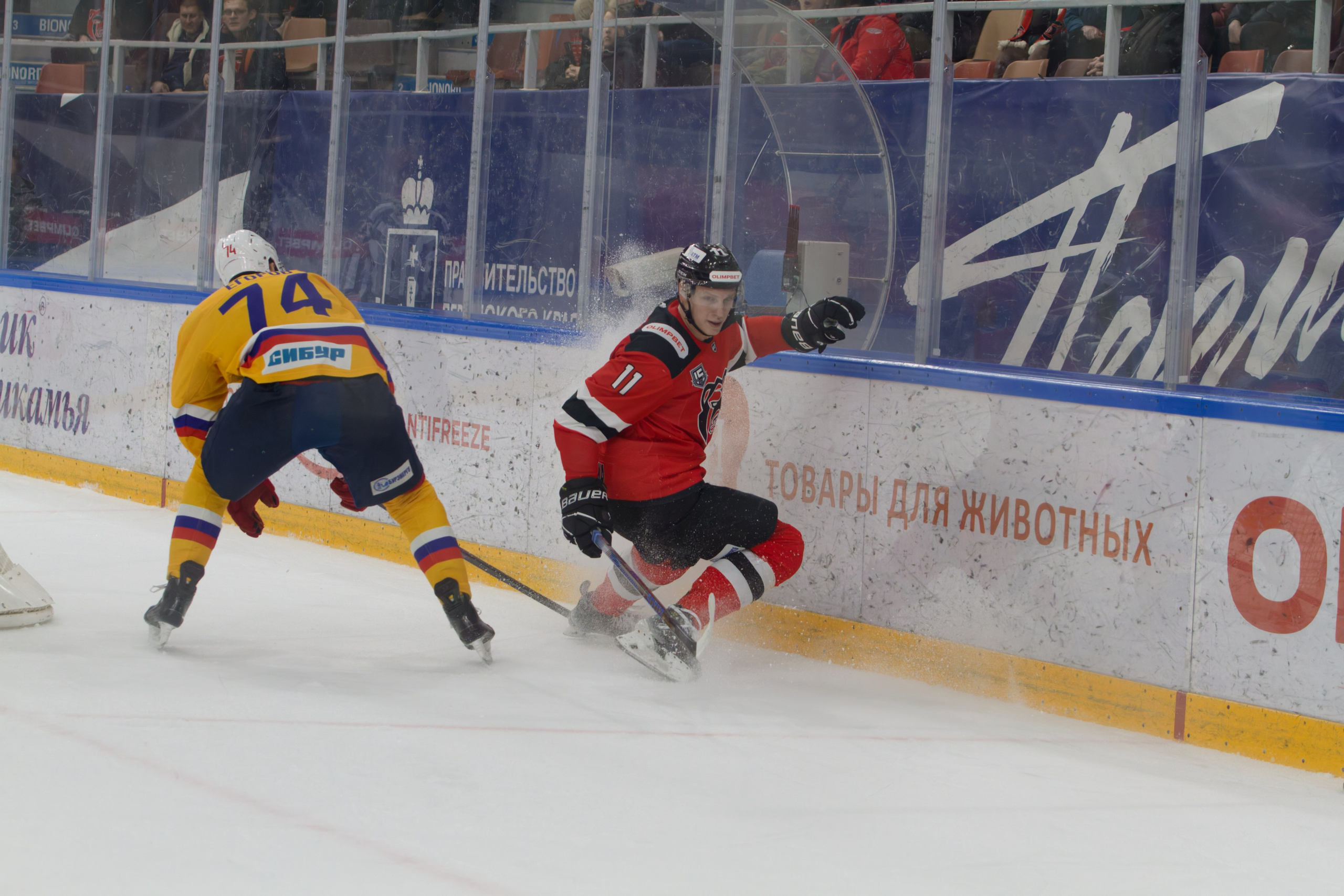 Хоккей. Молот-Химик 12.02.2025. Репортажный и спортивный фотограф в г. Пермь Зильберг Павел