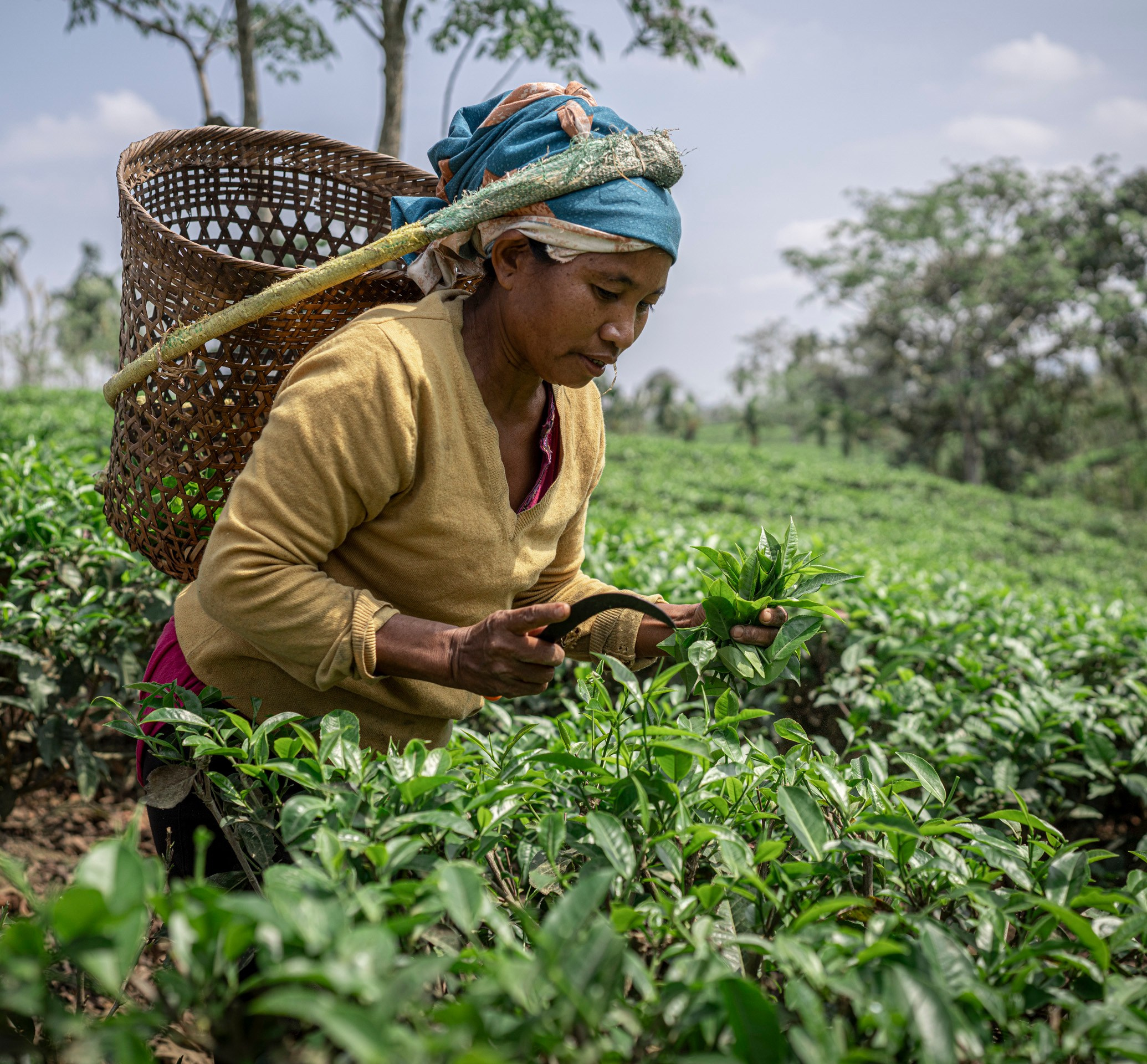 India travel. Фотограф Сергей Танков