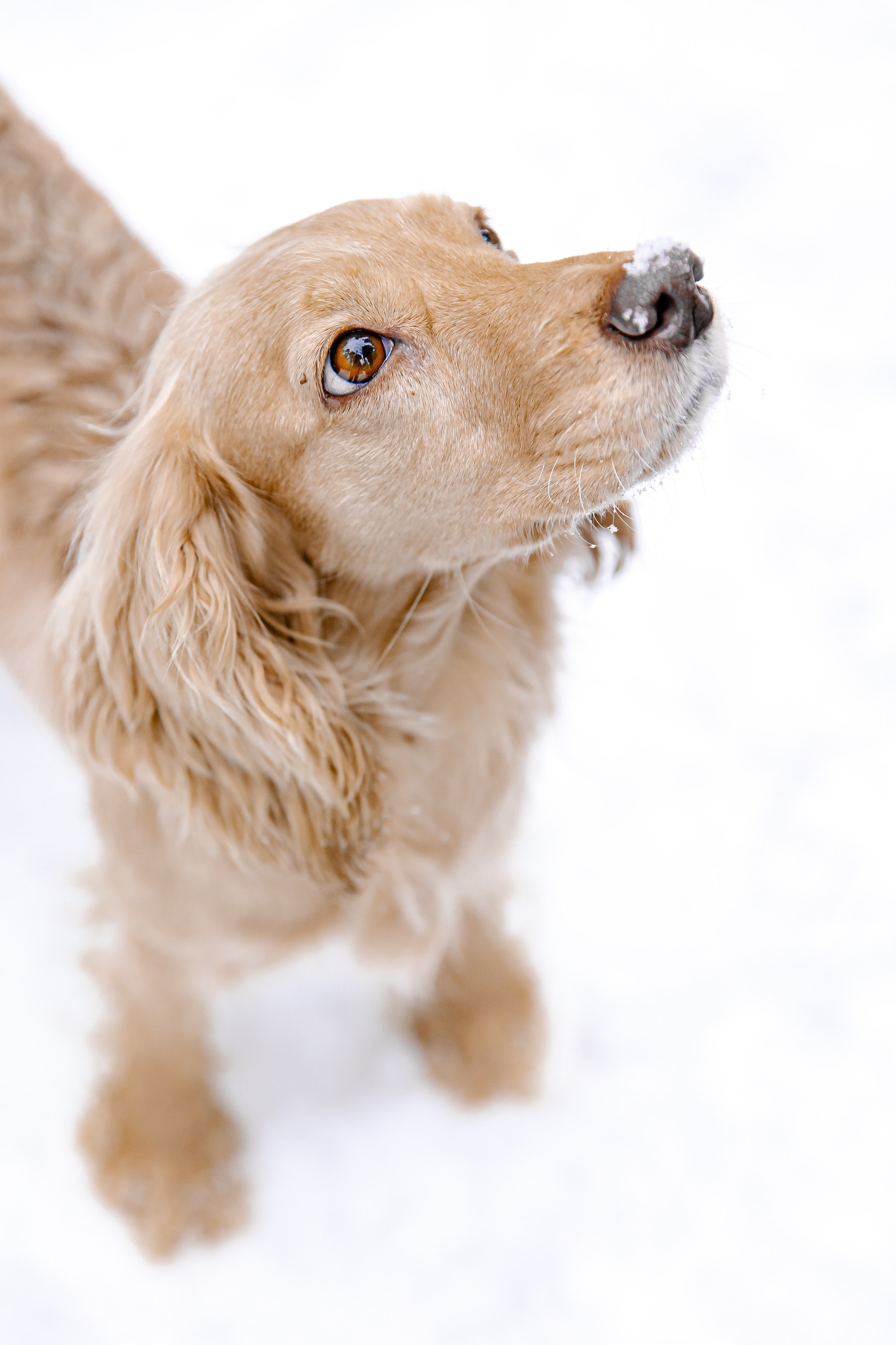 Прогулка в лесу. Свадебный и семейный фотограф в Рязани Саша Крутых