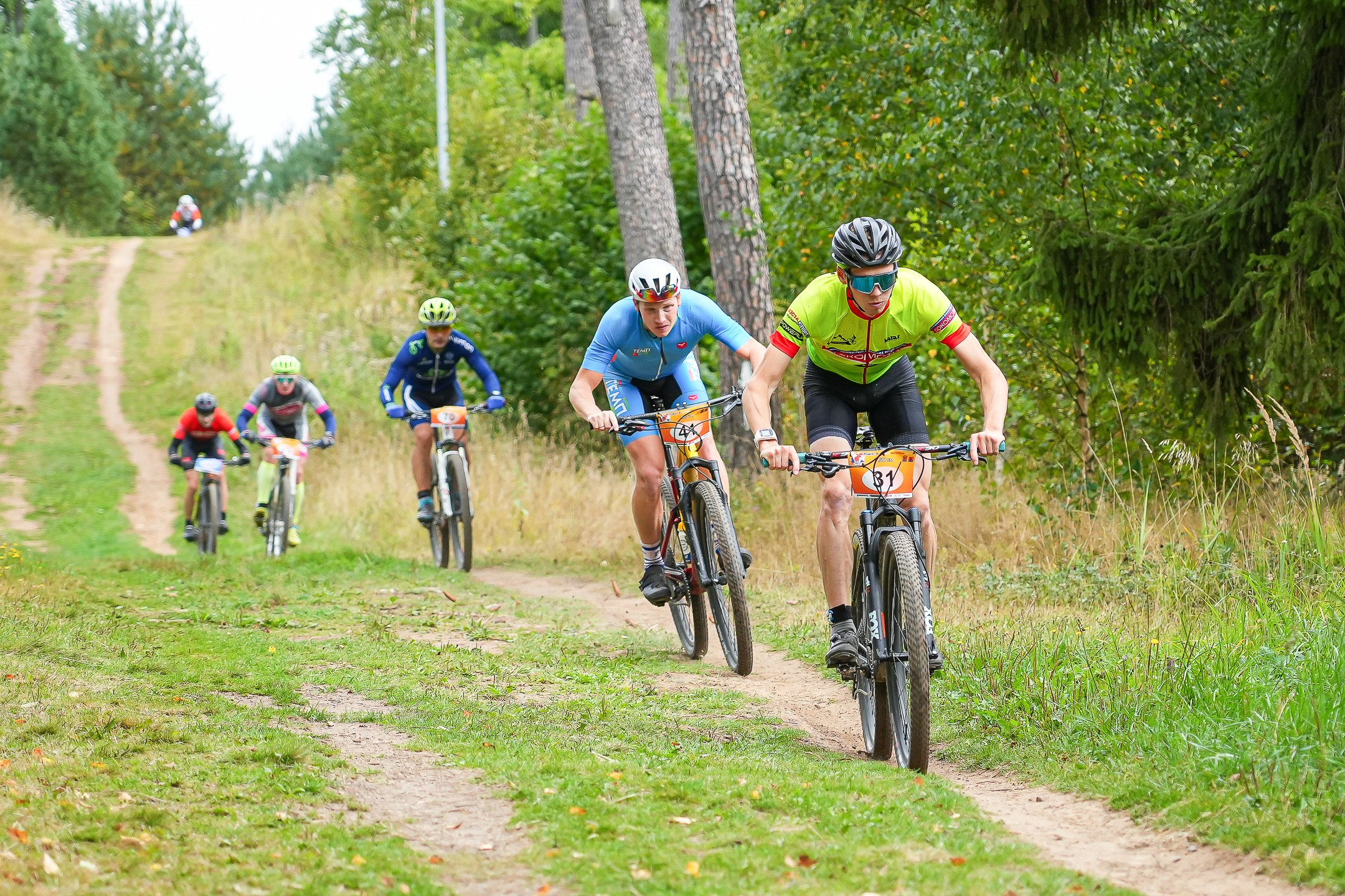 Demino XC | 2022, 2023. Sergey Sutkovoy — Designer, photographer, traveler, woodworker