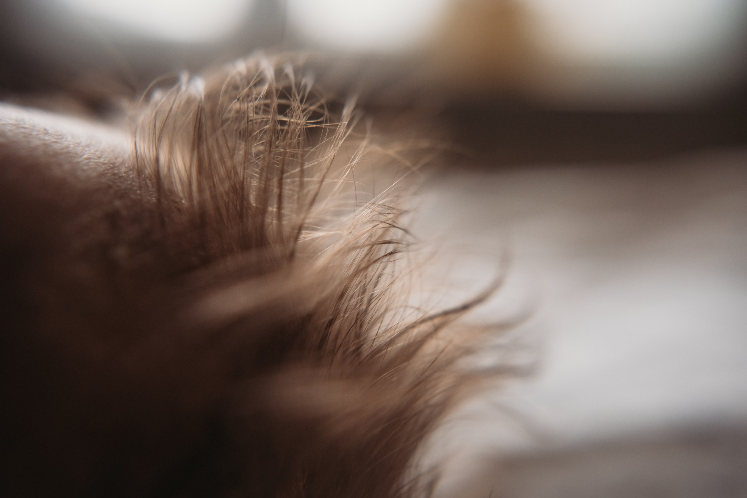 3-4 месяца. Фотограф Новорожденных в Москве. Семейные истории в стиле LIFE