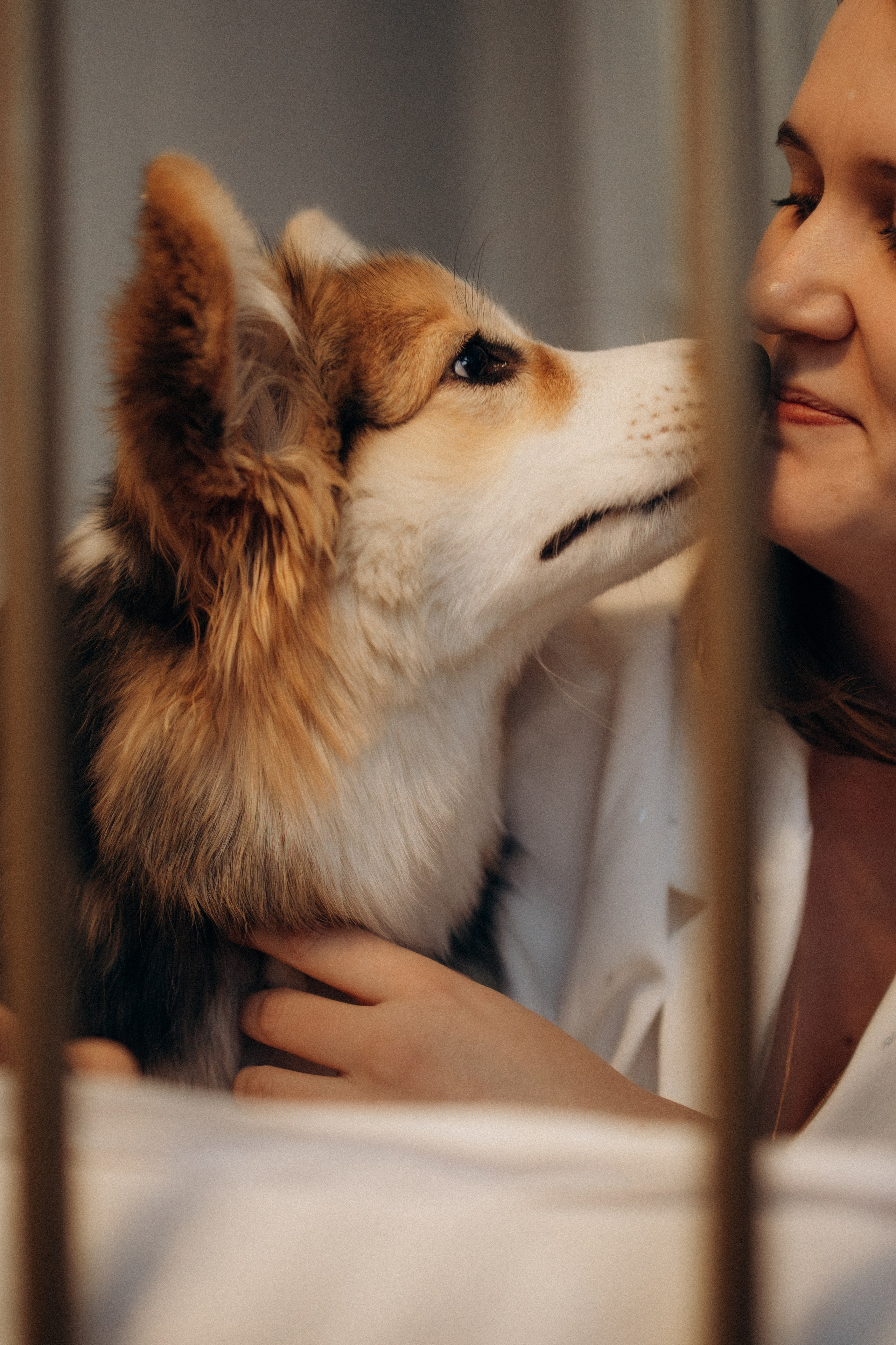 Мишель и Влада. Фотораф — анималист Мария Шистка