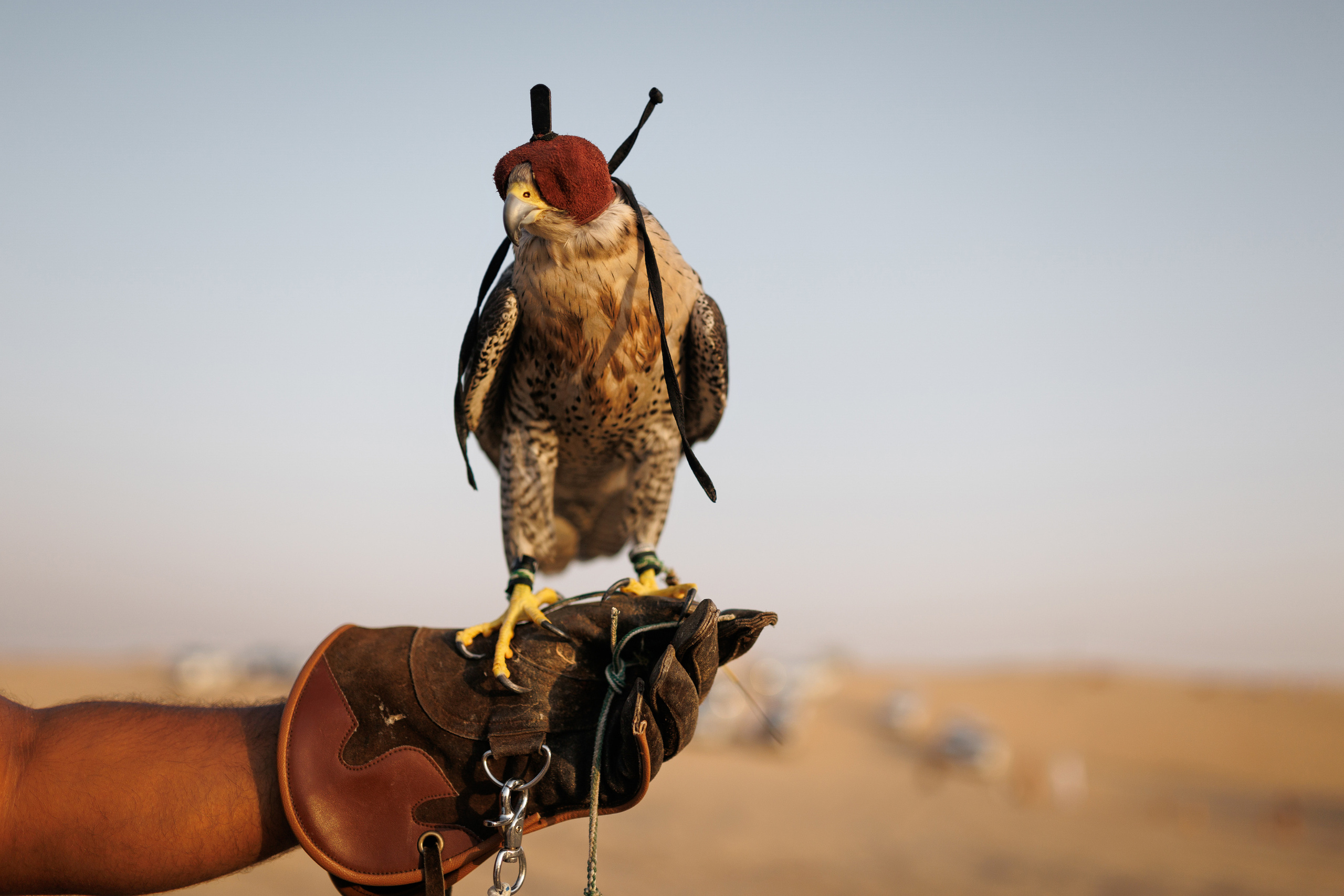 Дубай. Фотограф Олег Сотник
