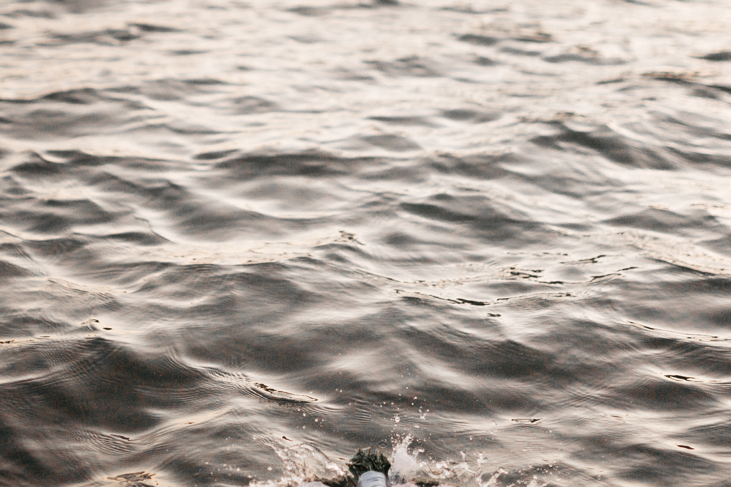 Прогулка на яхте. Фотограф Олег Сотник