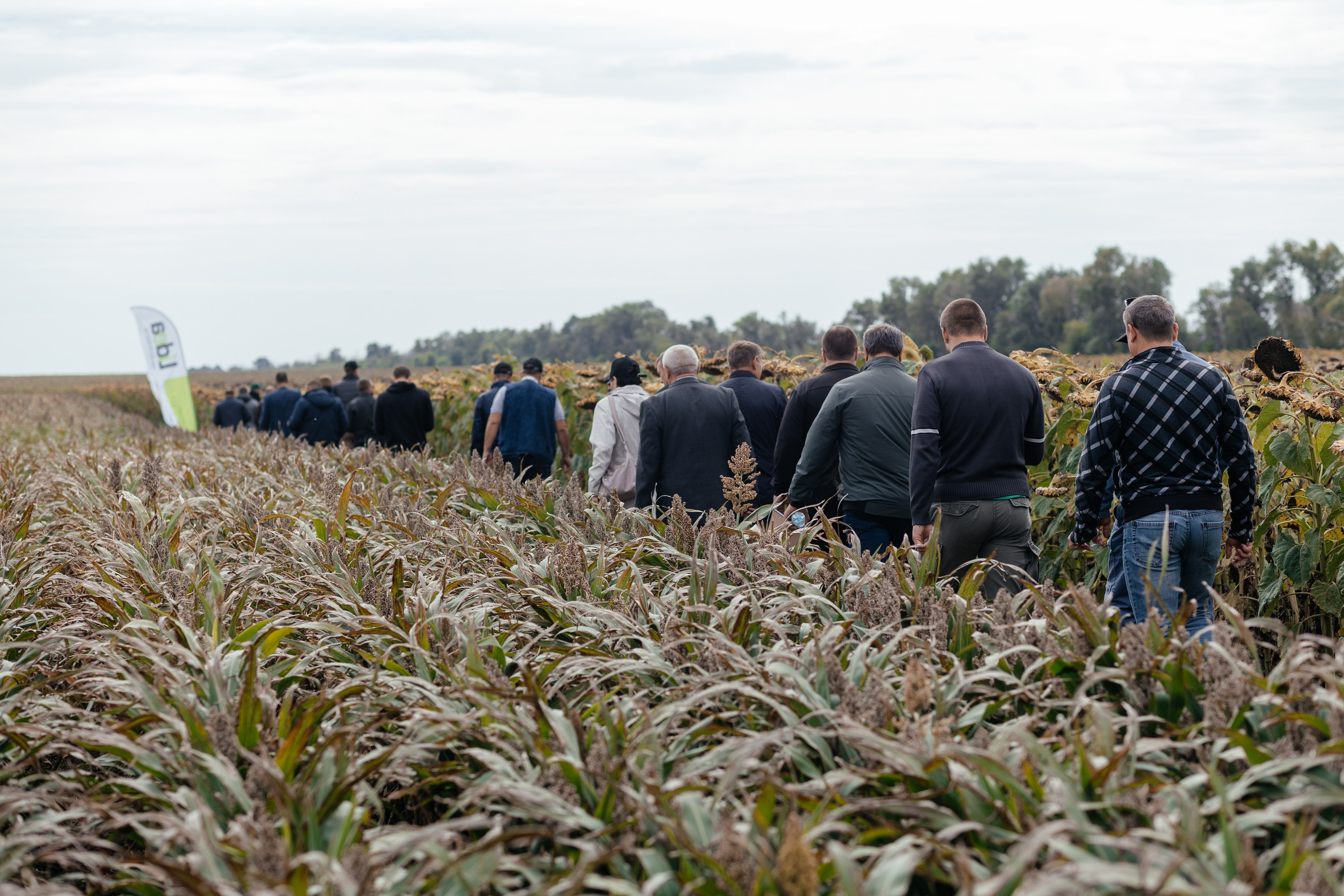 День поля. Фотограф Крохин Олег