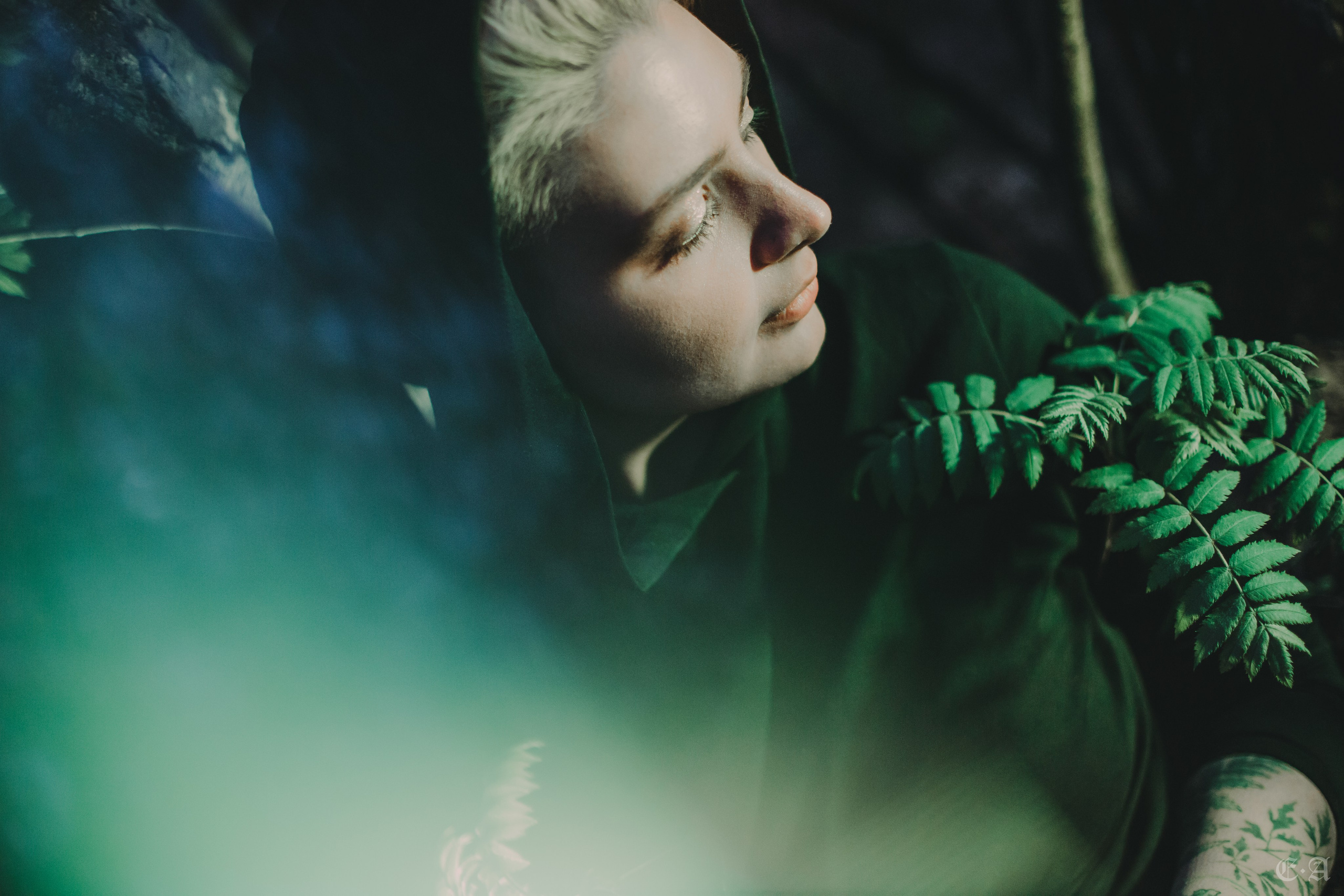 Наедине с собой: лесное промо. Фотограф Ellairen