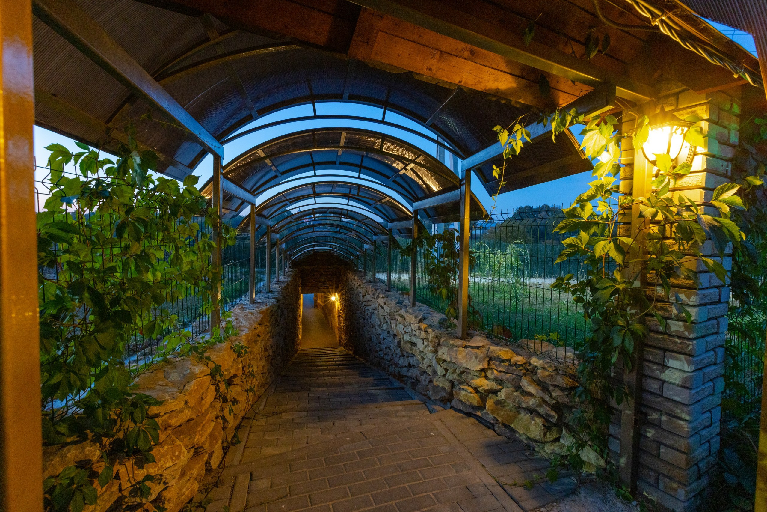 Большая Тросна вечером и новый бассейный комплекс. Фотограф в Туле Крупский АнДРей. Фотостудия «КАДР71» в Туле