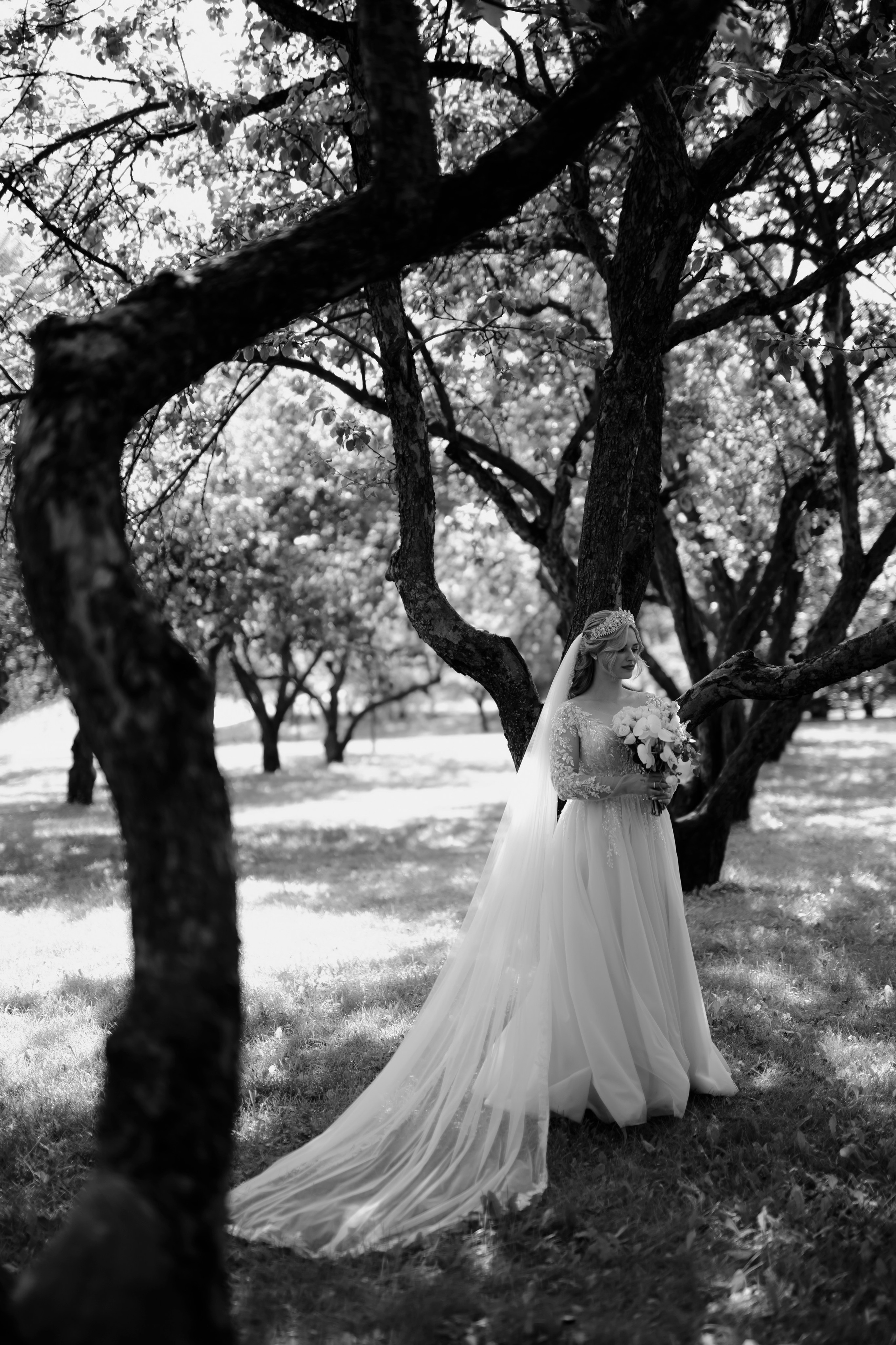 Свадьба Дмитрия и Екатерины. Фотограф Кольчугино/Владимир/Москва Елизавета Иода