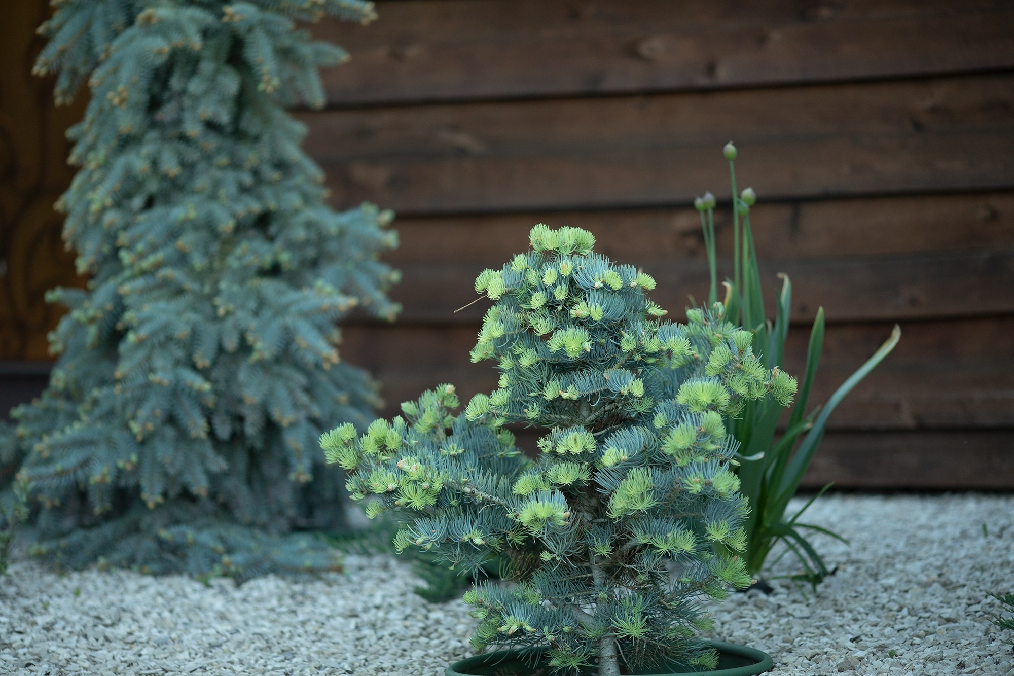 Парк-заповедник Купидон. Семейный фотограф в Димитровграде Елена Патрушева