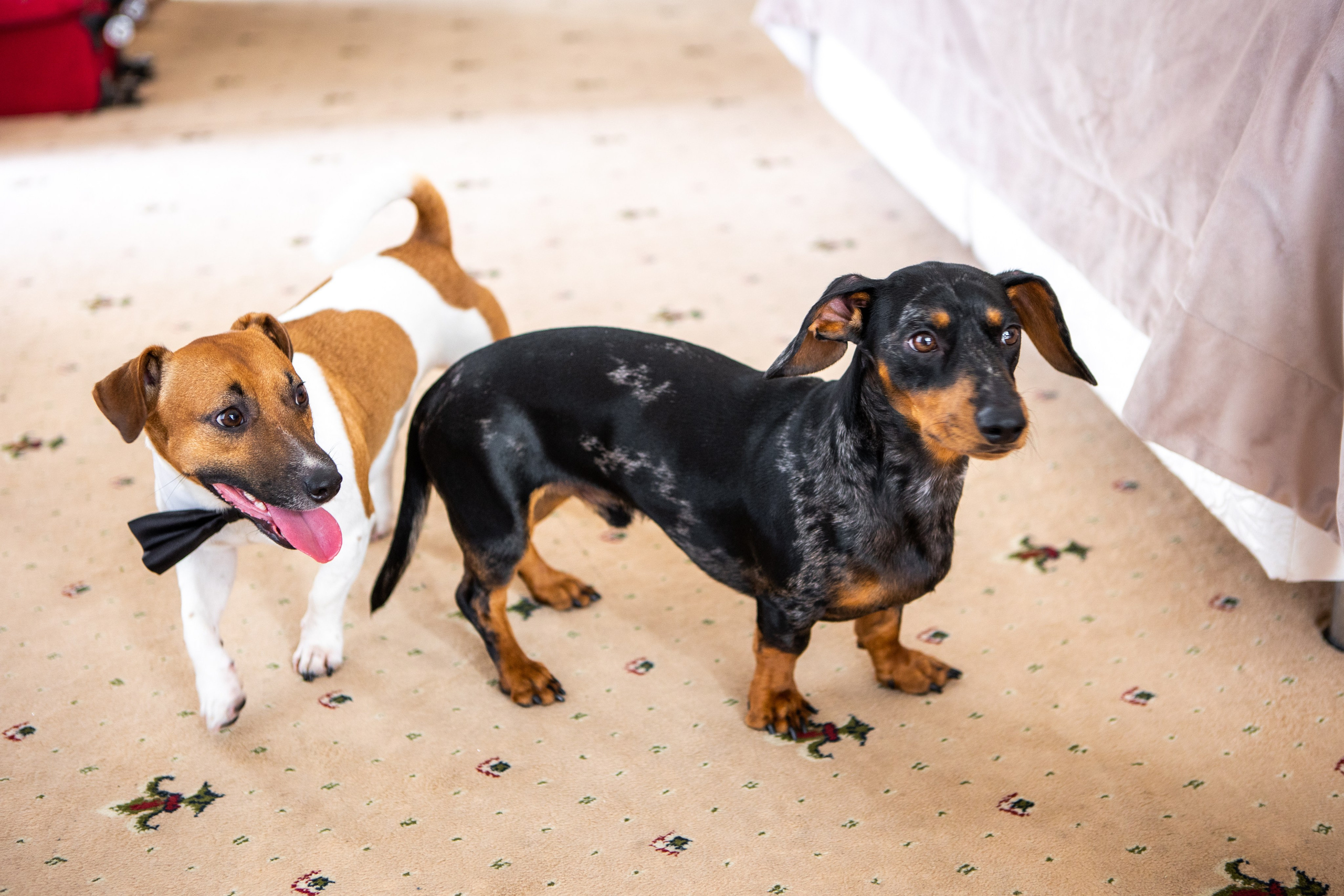 АЛИНА И КИРИЛЛ. Свадебный, семейный, детский фотограф в Екатеринбурге.Фотосессия родов
