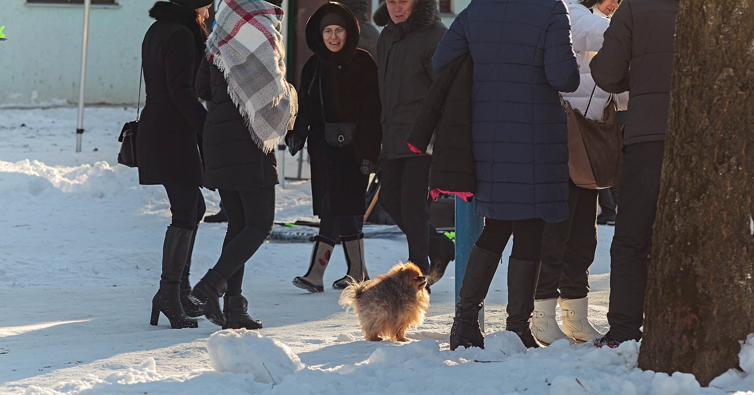 Крещение в Гомеле. Фотограф (photographer) Lischinski Vitaliy
