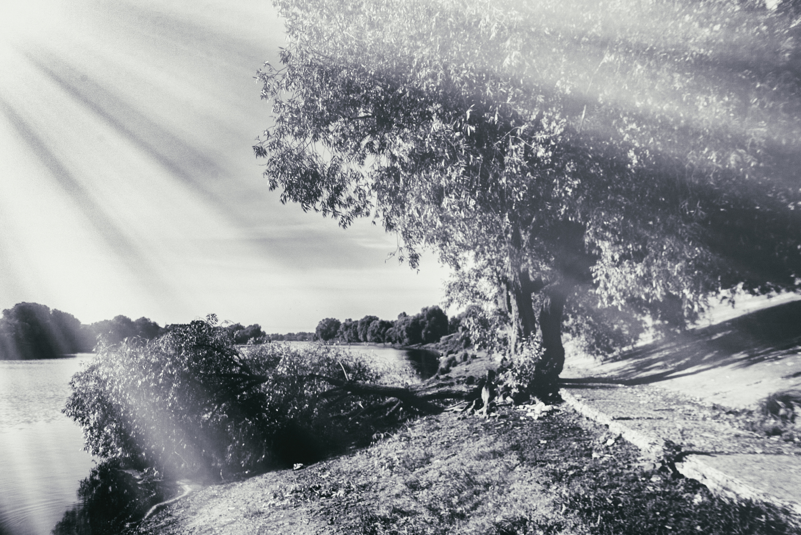 ЧБ  пейзажи (BnW landscape). Фотограф (photographer) Lischinski Vitaliy