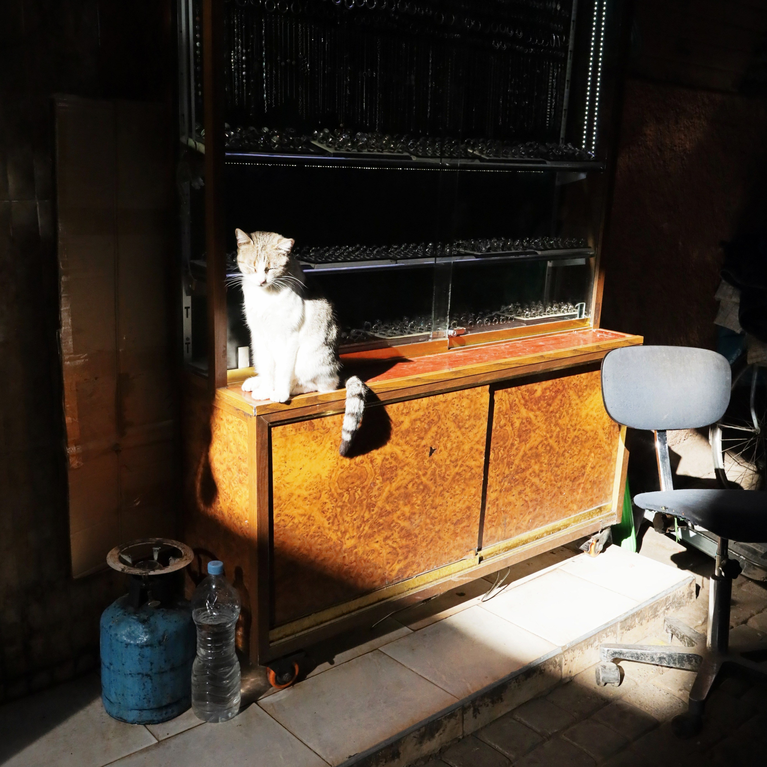 МАРОККО-ТУРЦИЯ /// 23.11-12.12.2025. СПБНЛО