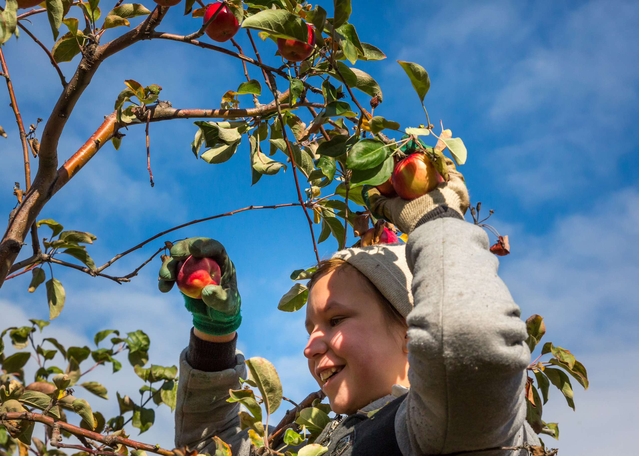 ХВАЛЫНСК: ГОРОД НА ДНЕ МОРЯ. Контакты