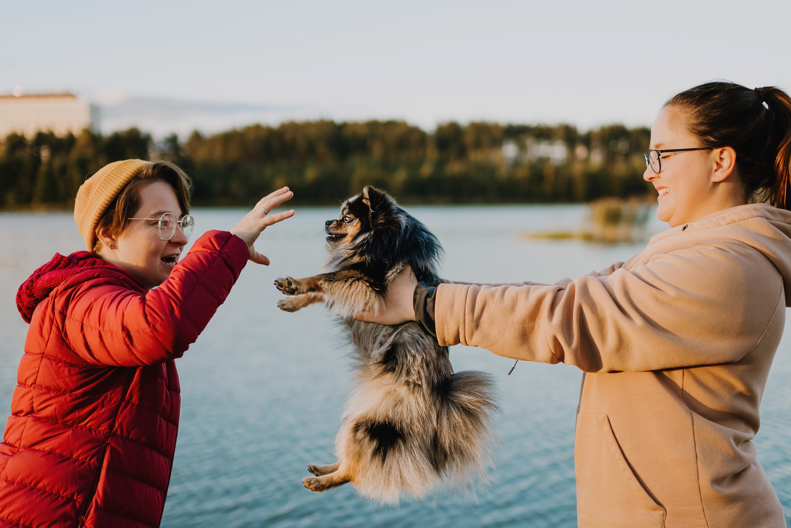 Семейная фотосессия с двумя собаками на закате. Фотограф анималист в Спб недорого Олеся Майорова