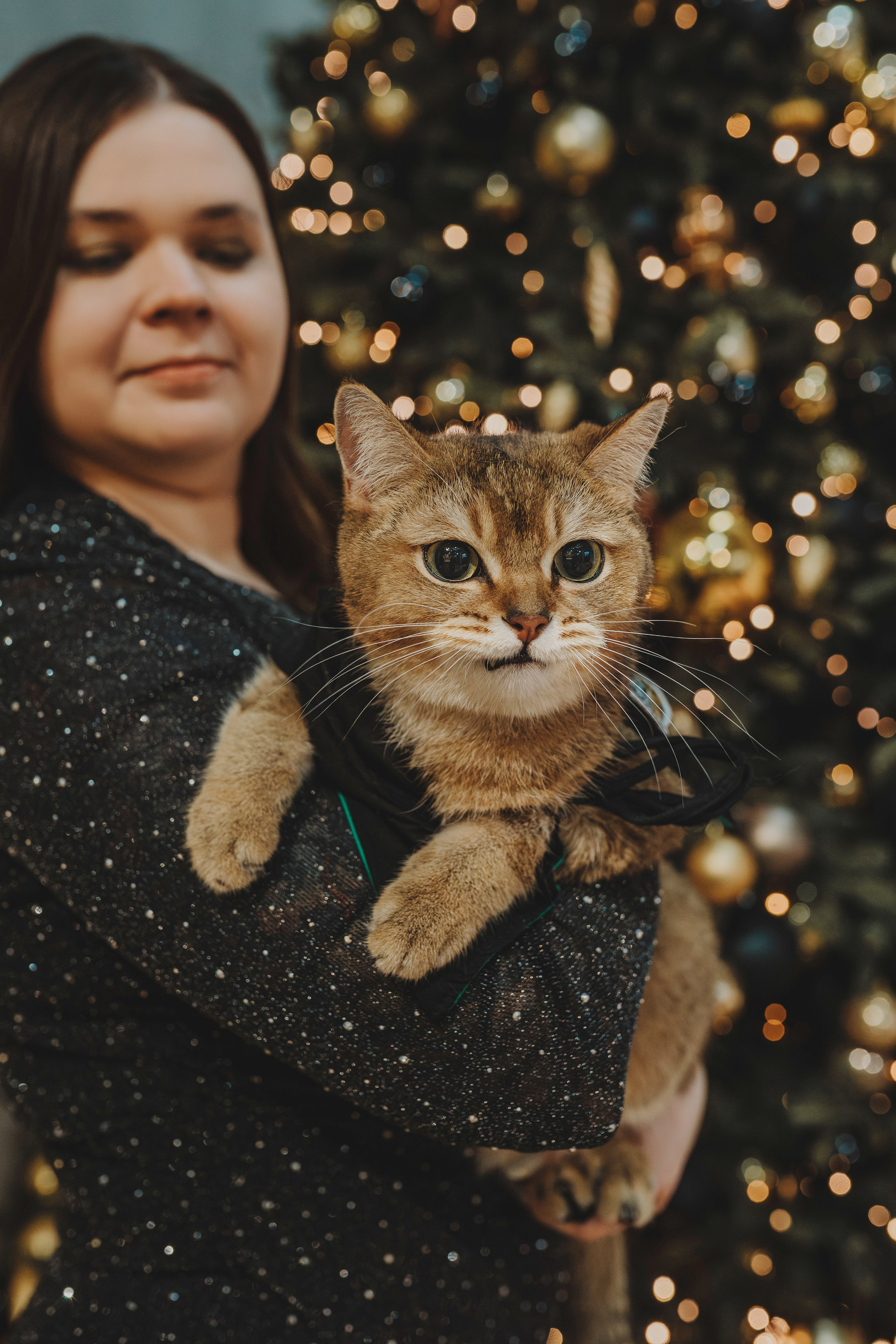 Аня, Андуин и Тесс. Фотограф анималист в Спб недорого Олеся Майорова