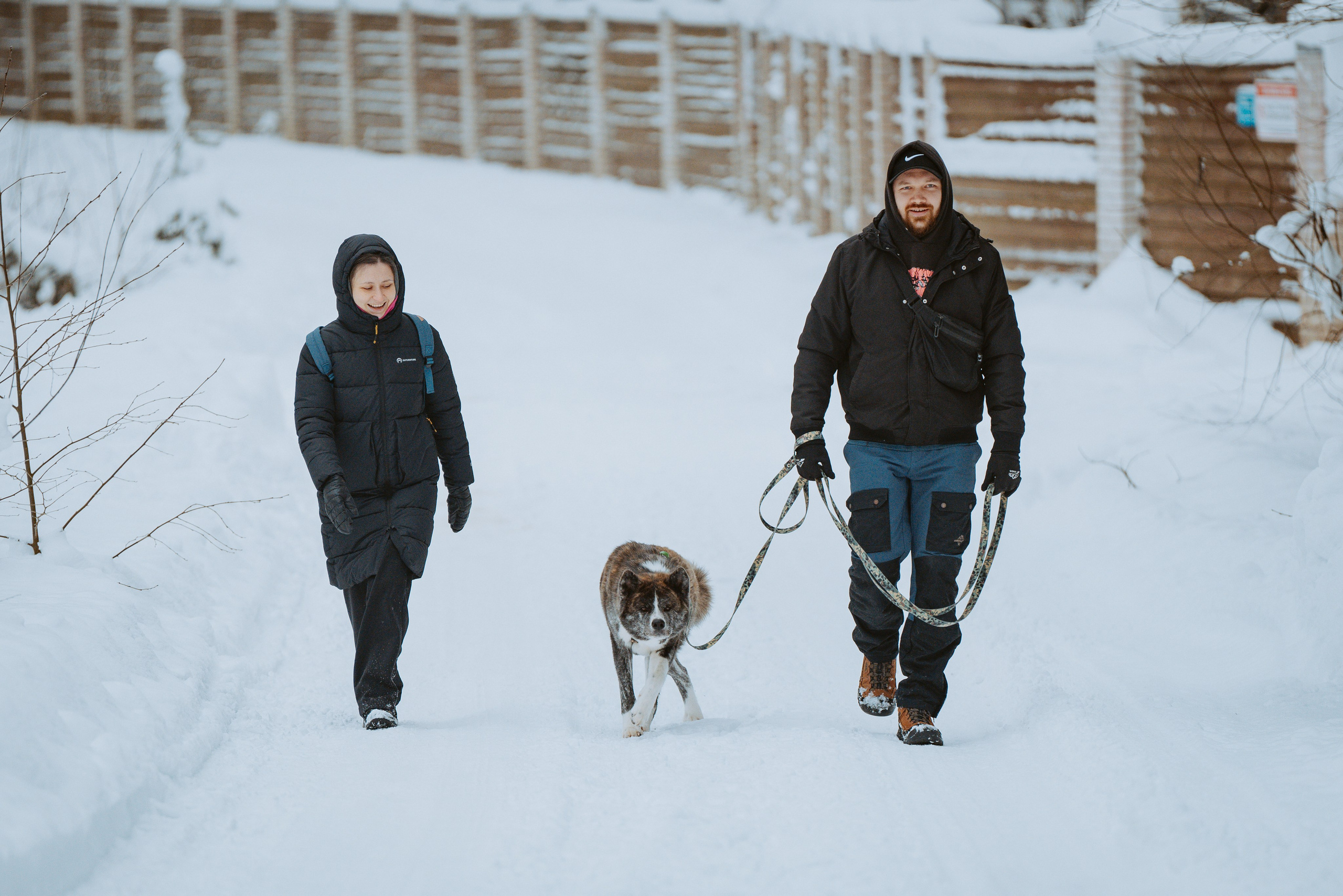 Дог трекинг. Фотограф анималист в Спб недорого Олеся Майорова