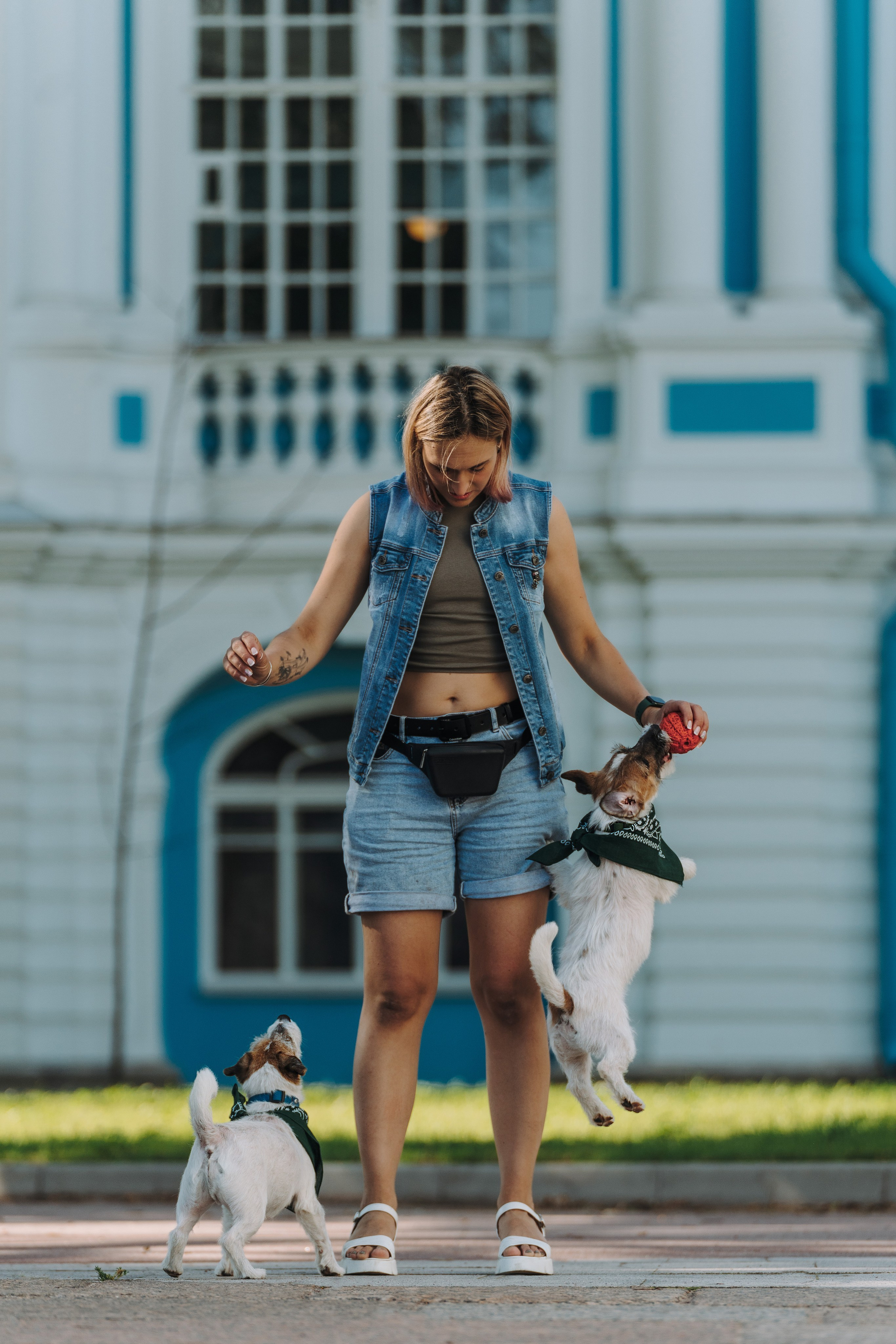 Ларс, Лукас и Ольга. Фотограф анималист в Спб недорого Олеся Майорова