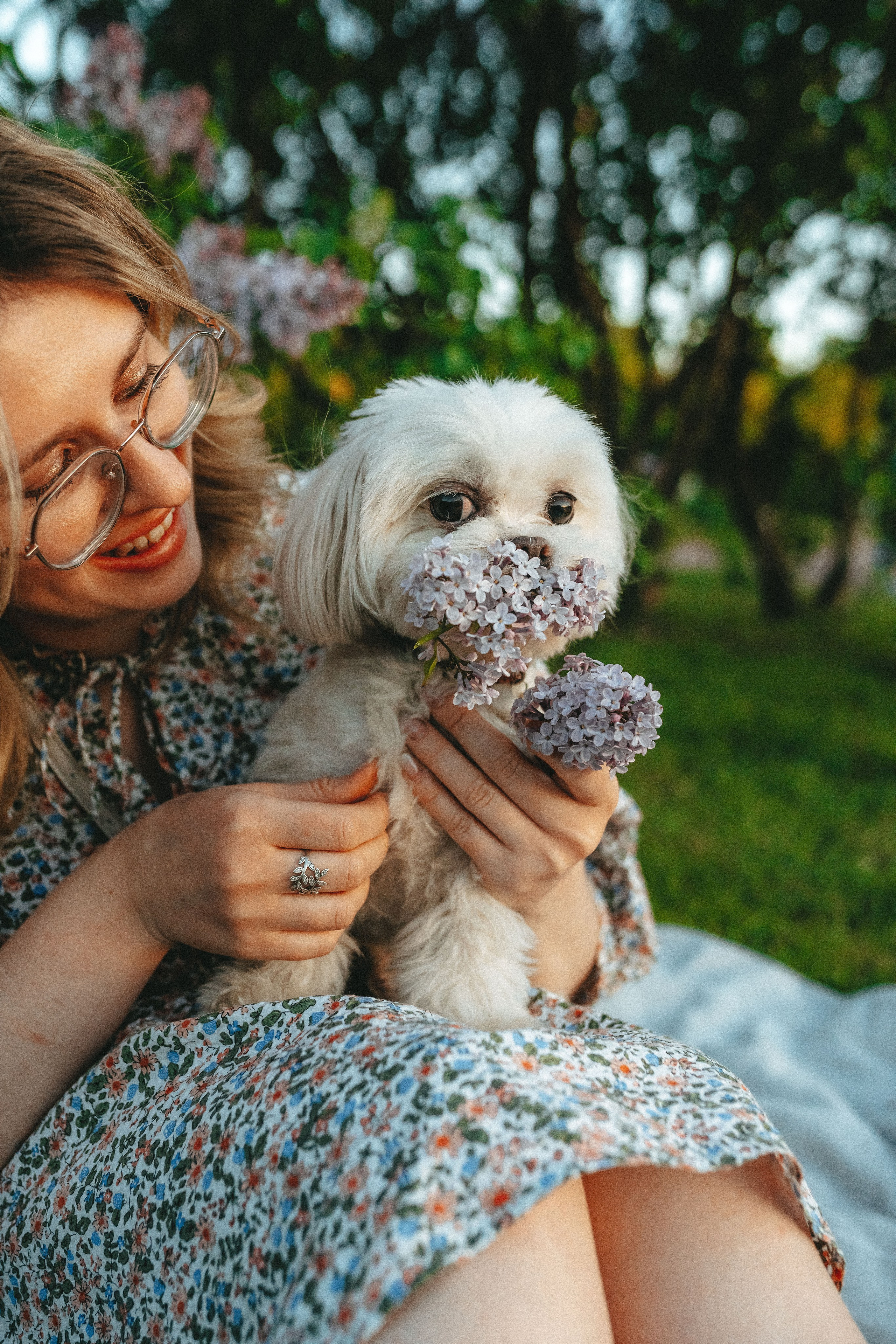 Фотосессия с питомцем в центре Санкт-Петербурга. Фотограф анималист в Спб недорого Олеся Майорова
