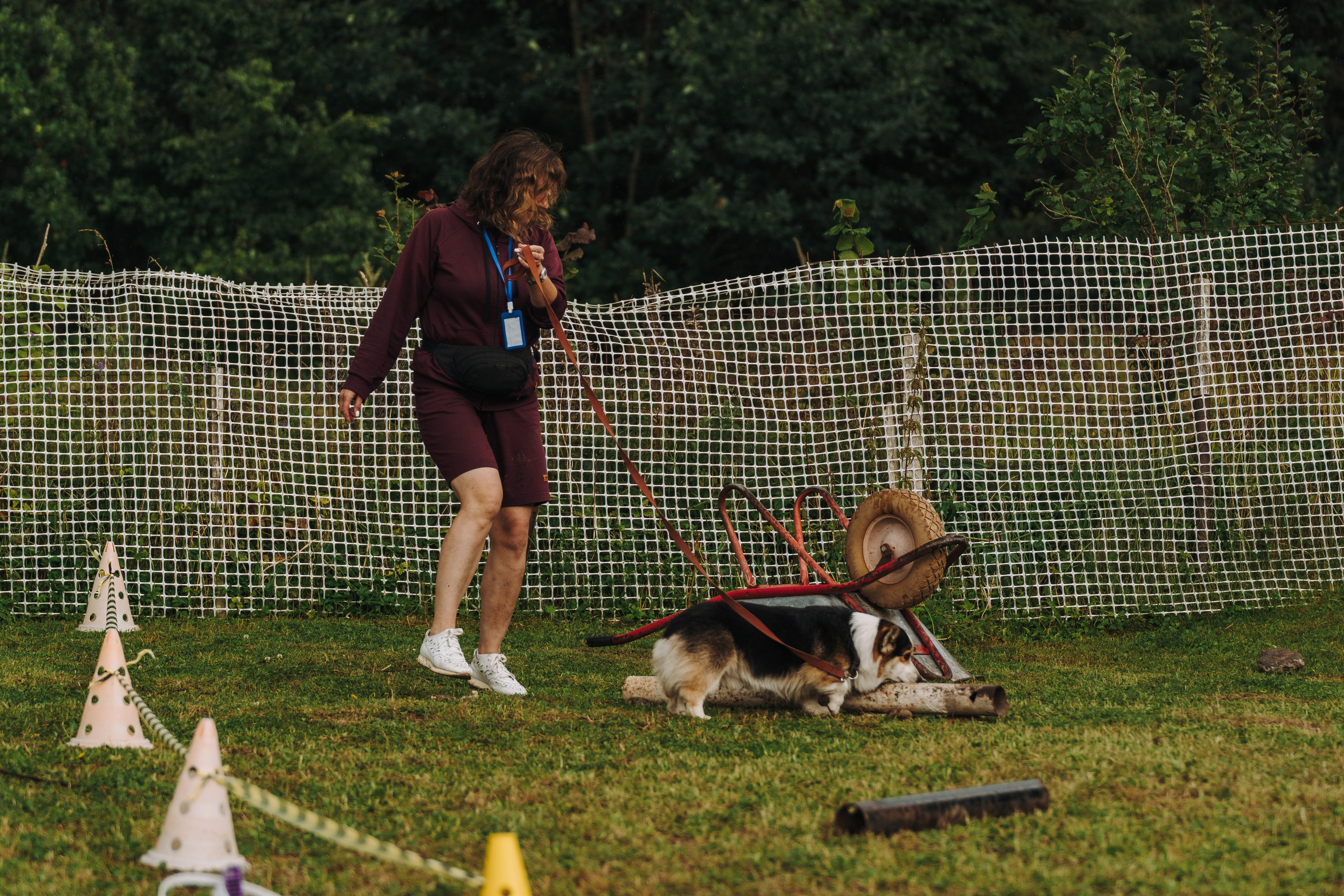 Соревнования по ноузворку в Новожилово. Фотограф анималист в Спб недорого Олеся Майорова